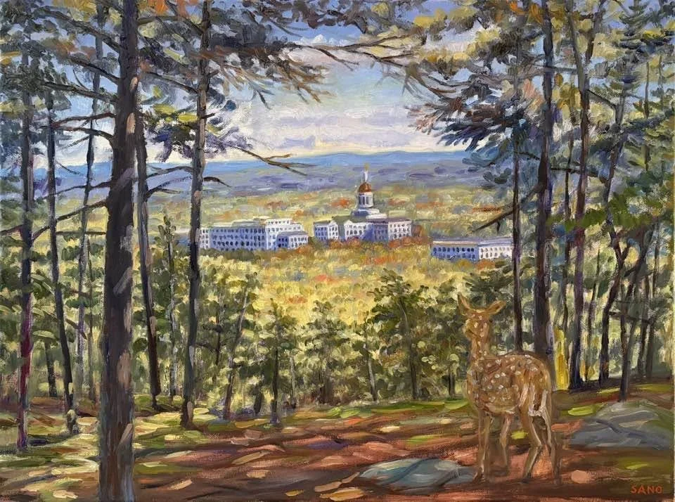 View from Howard Hill.jpg
