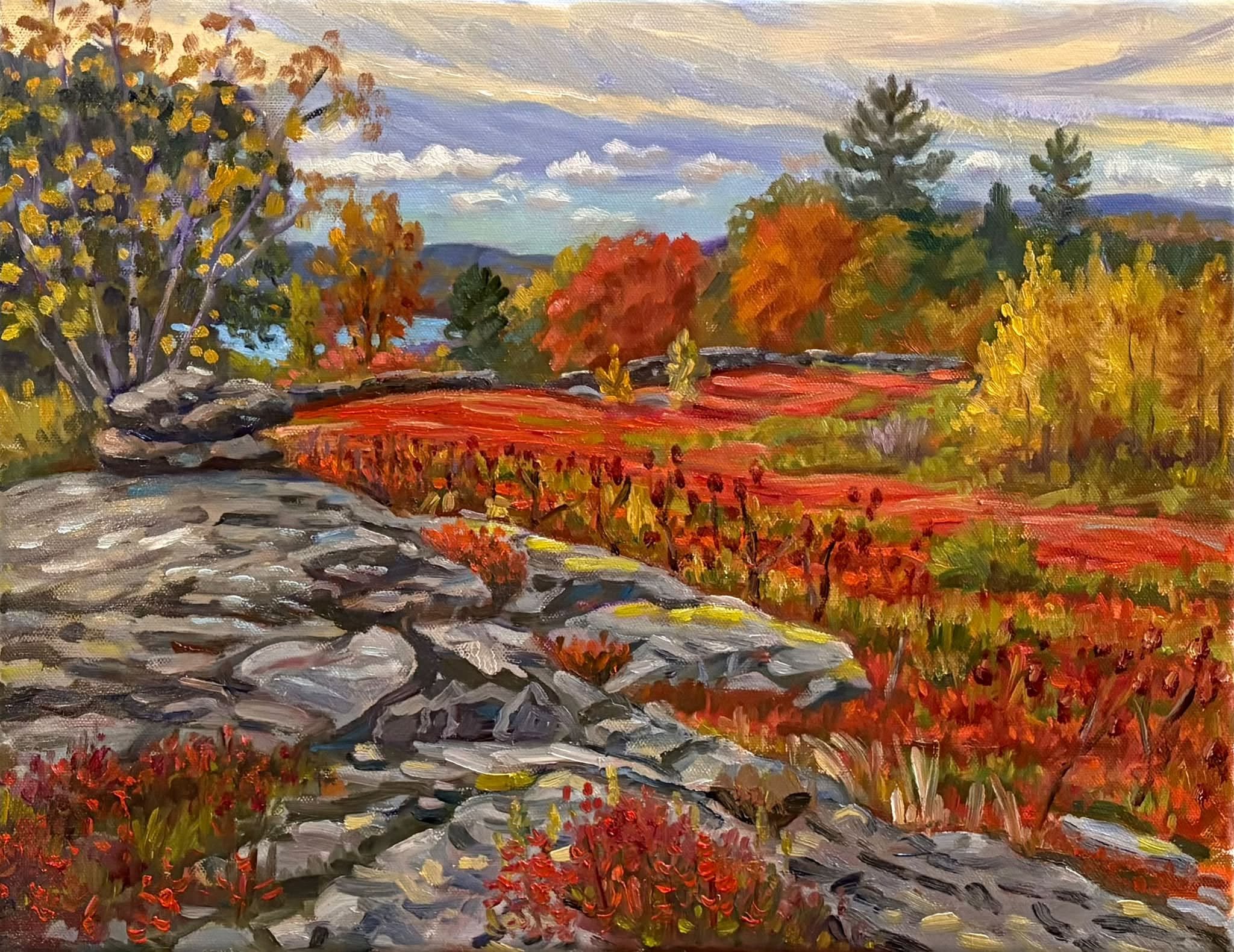 Autumn at Brodis Blueberry Farm