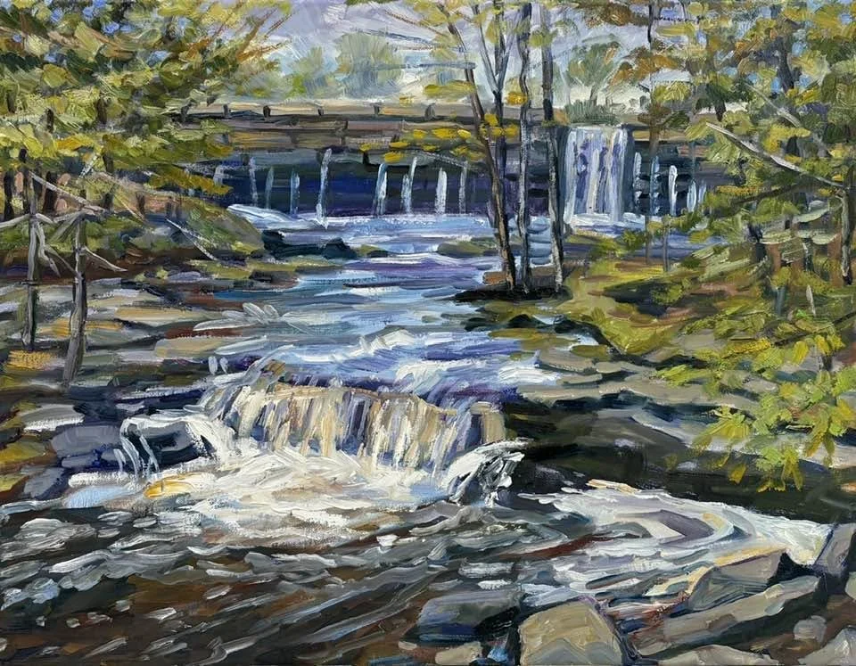 Vaughan Woods--View from the Footbridge