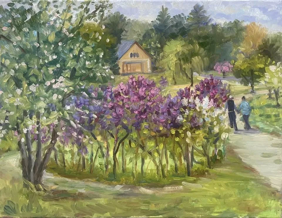 Lilacs in Bloom Viles Arboretum