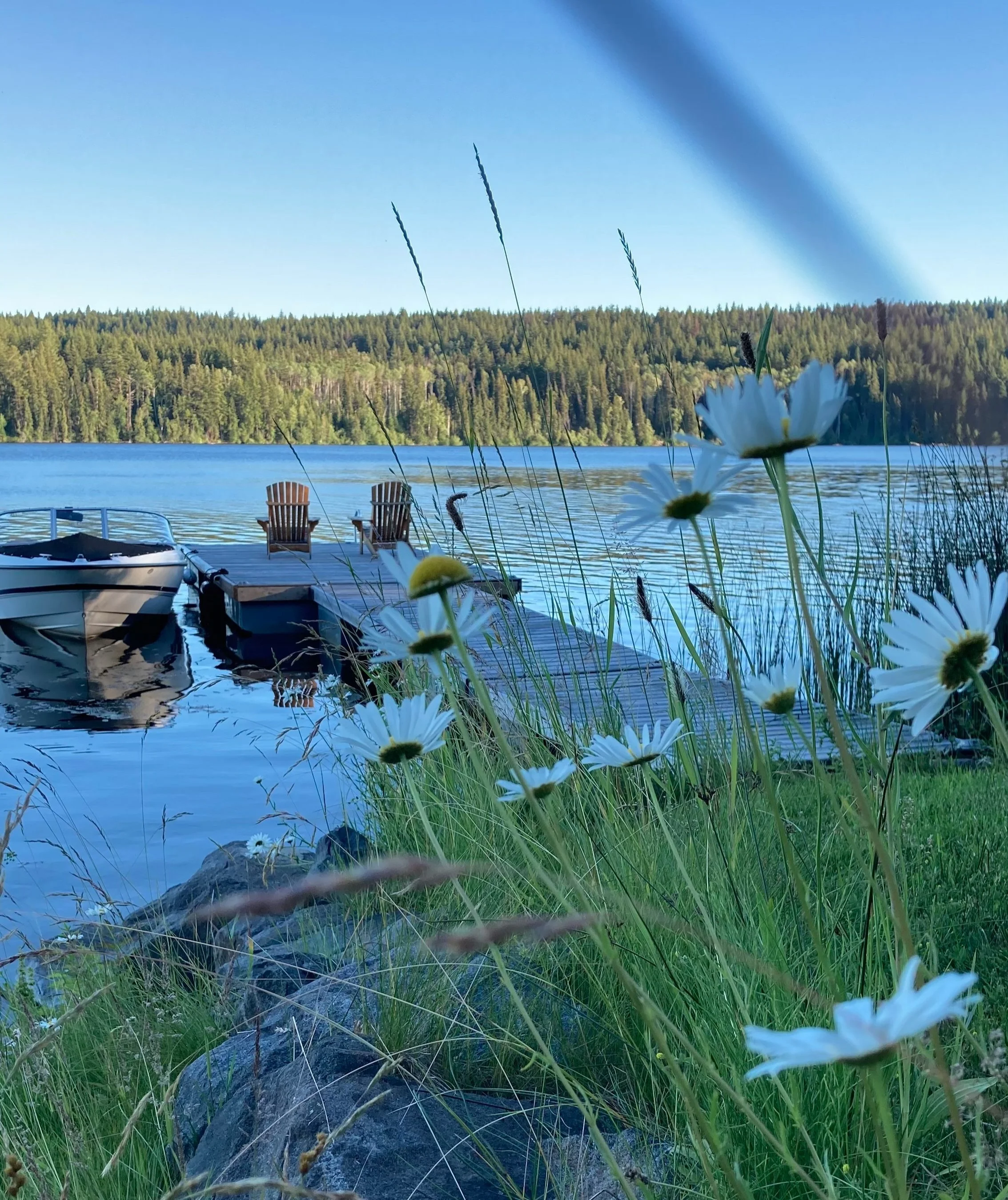 In Progress Timothy Lake Family Cabin — STUDIO ALBERTAZZI