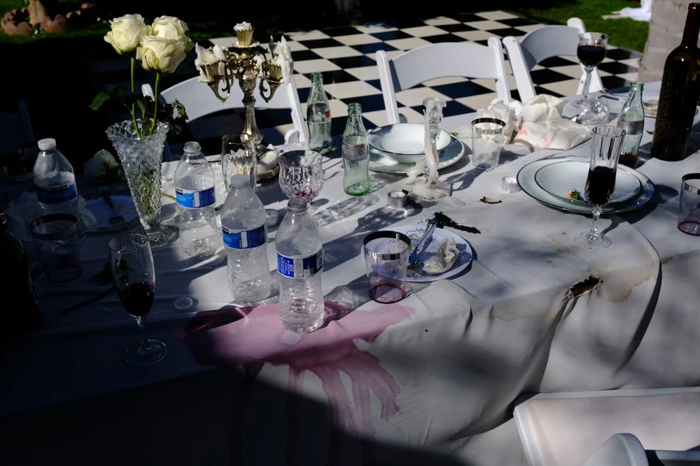 the aftermath of a backyard wedding-2.jpg