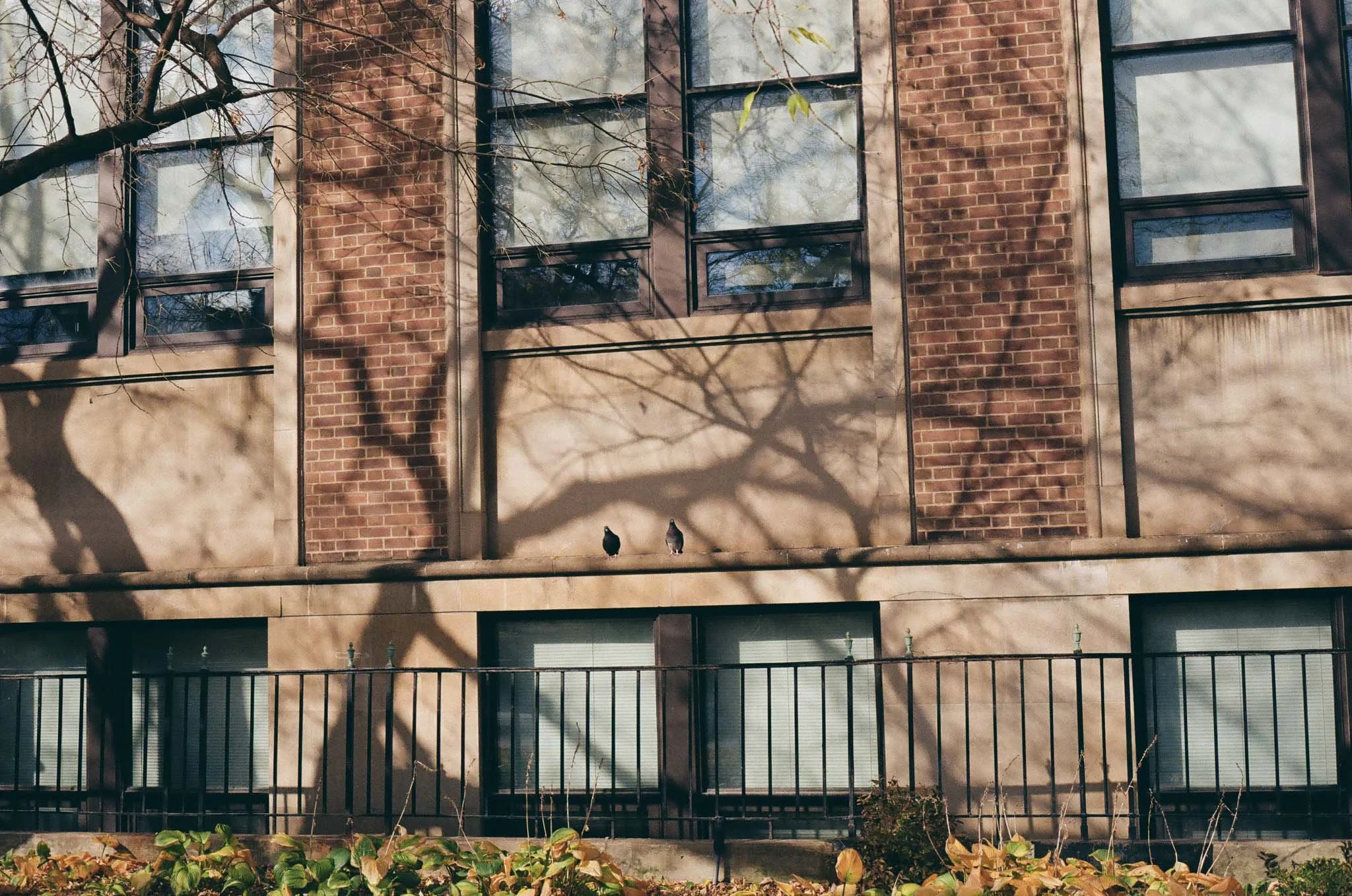 Devic Fotos | Toronto Film Photographer-10.JPG