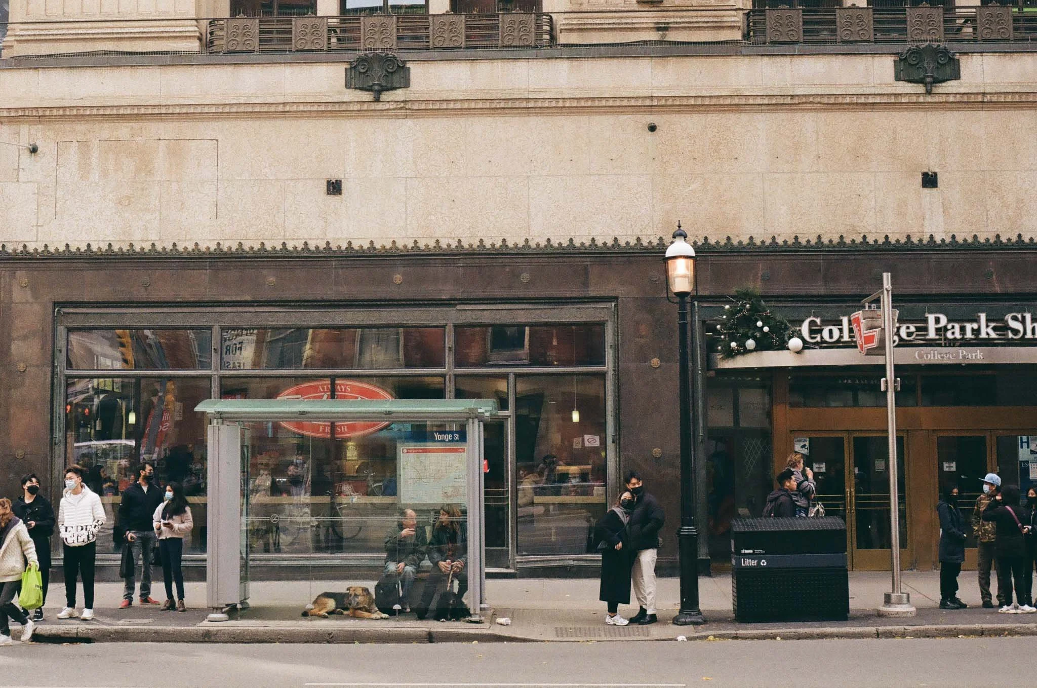 Devic Fotos | Toronto Film Photographer-11.JPG