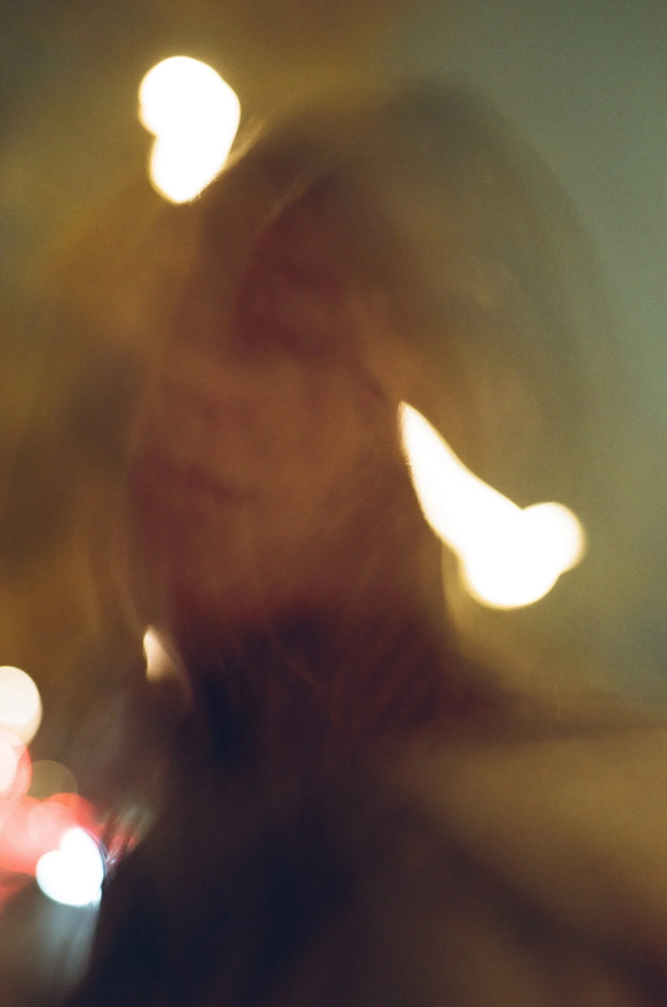 Devic Fotos | Toronto Film Photographer-16.JPG