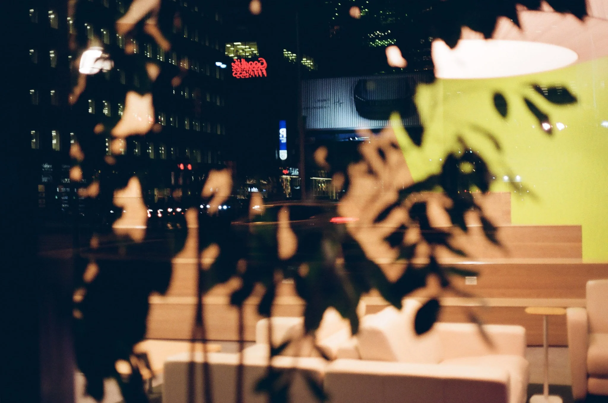 Devic Fotos | Toronto Film Photographer-20.JPG