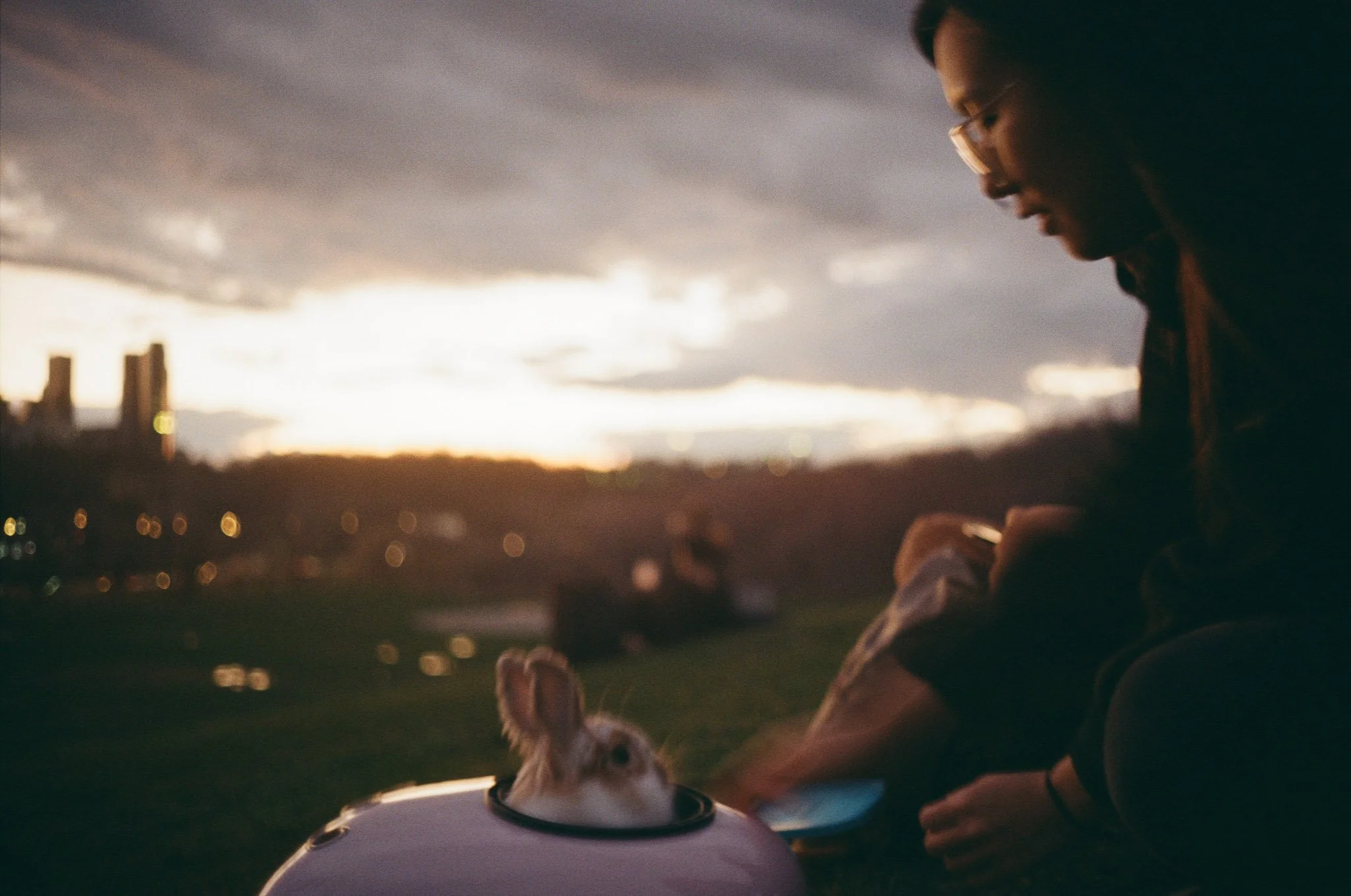 Devic Fotos | Toronto Film Photographer-8.JPG
