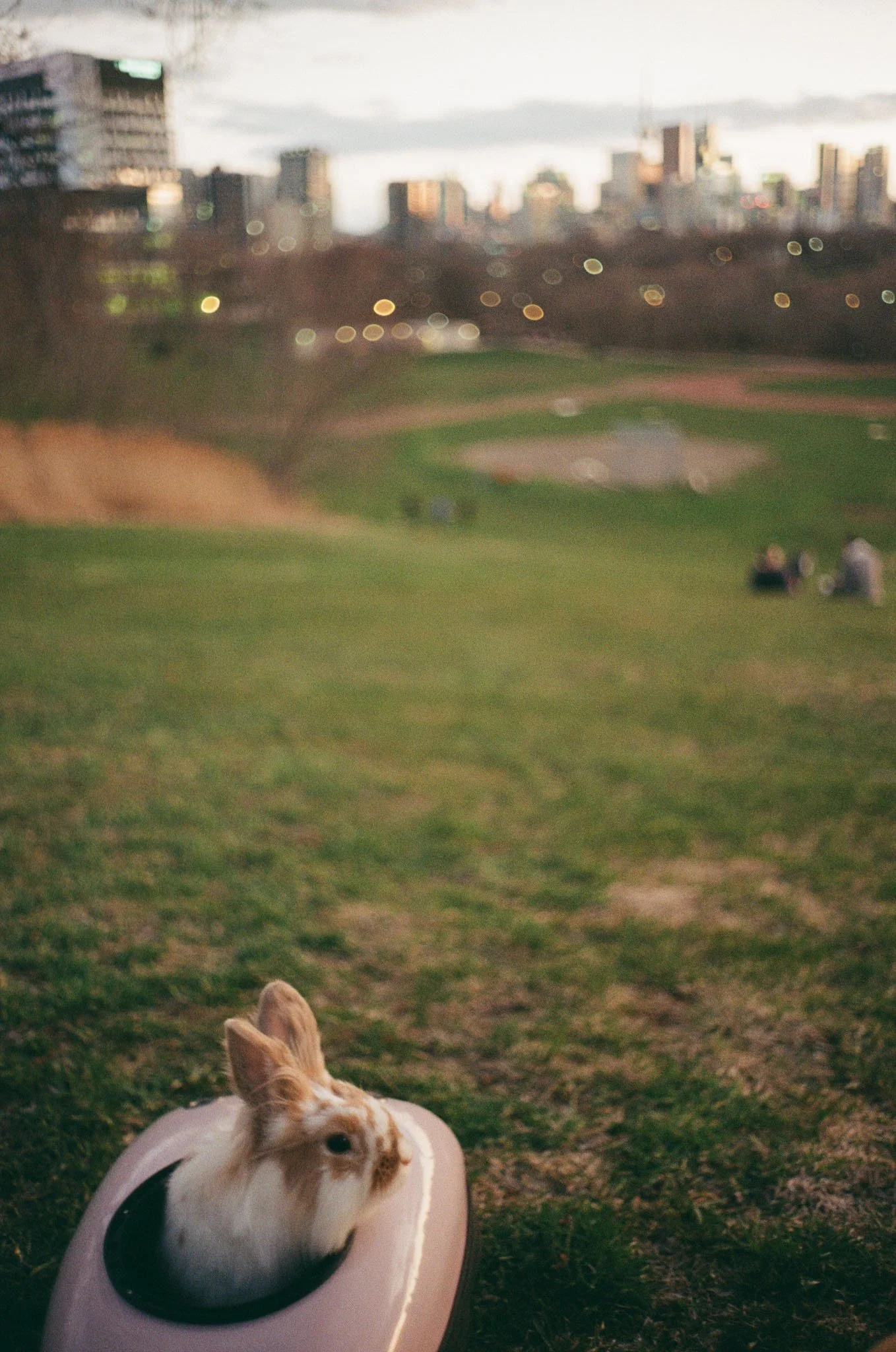Devic Fotos | Toronto Film Photographer-15.JPG