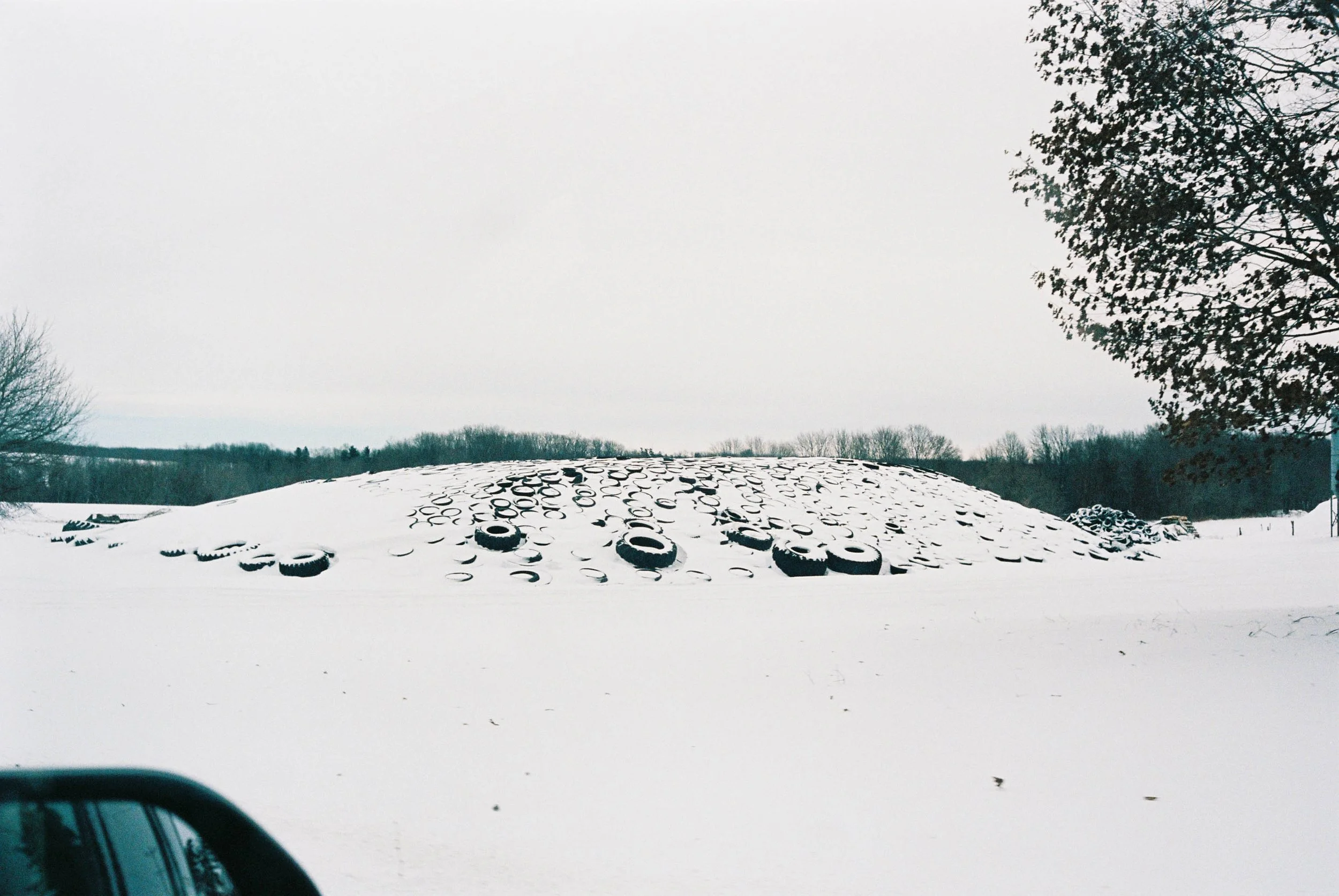 Devic Fotos - Toronto Film Photographer-2.JPG