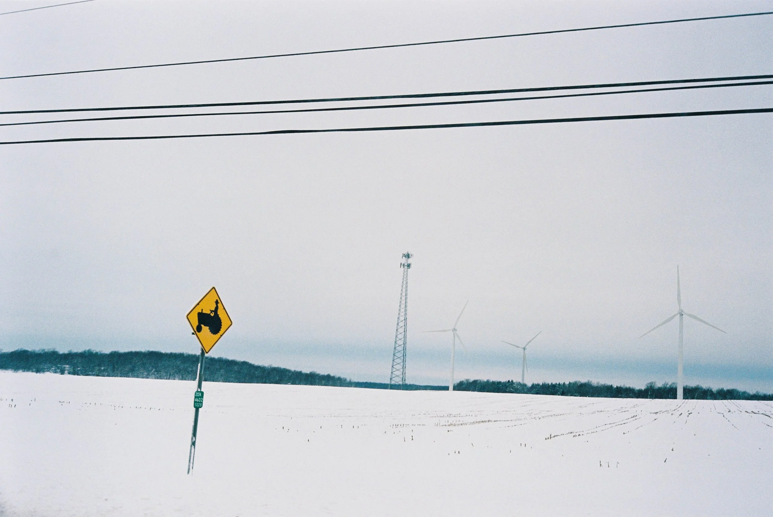 Devic Fotos - Toronto Film Photographer-7.JPG