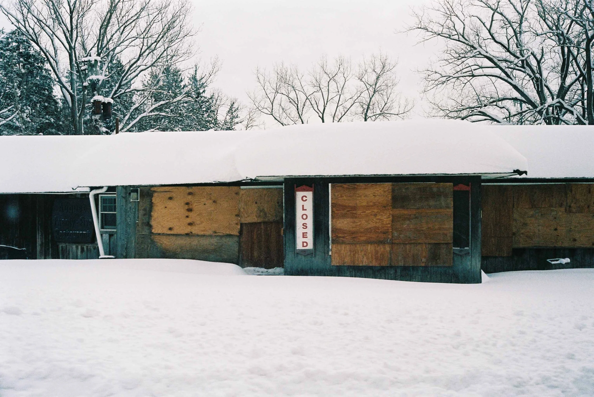 Devic Fotos - Toronto Film Photographer-9.JPG