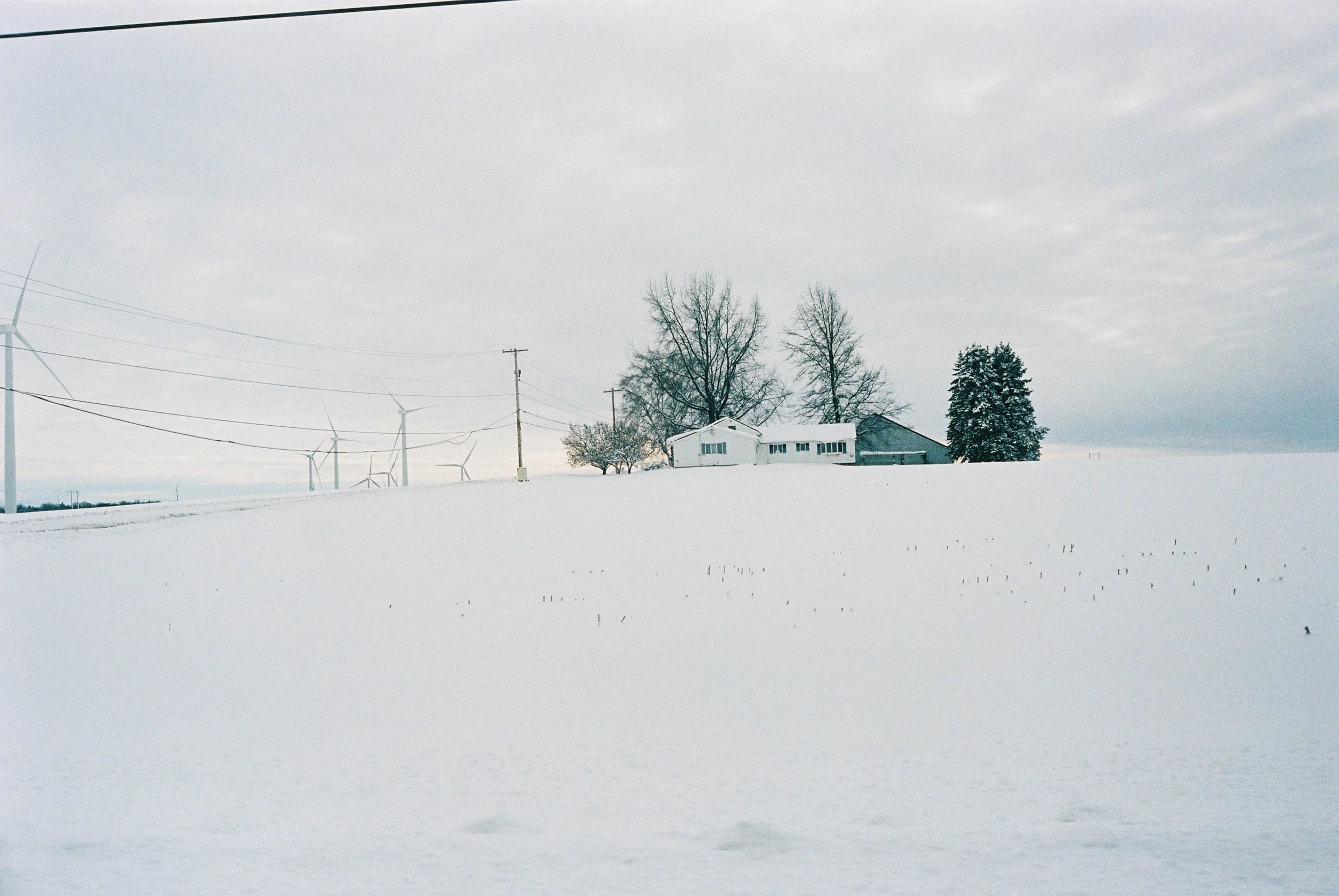 Devic Fotos - Toronto Film Photographer-10.JPG