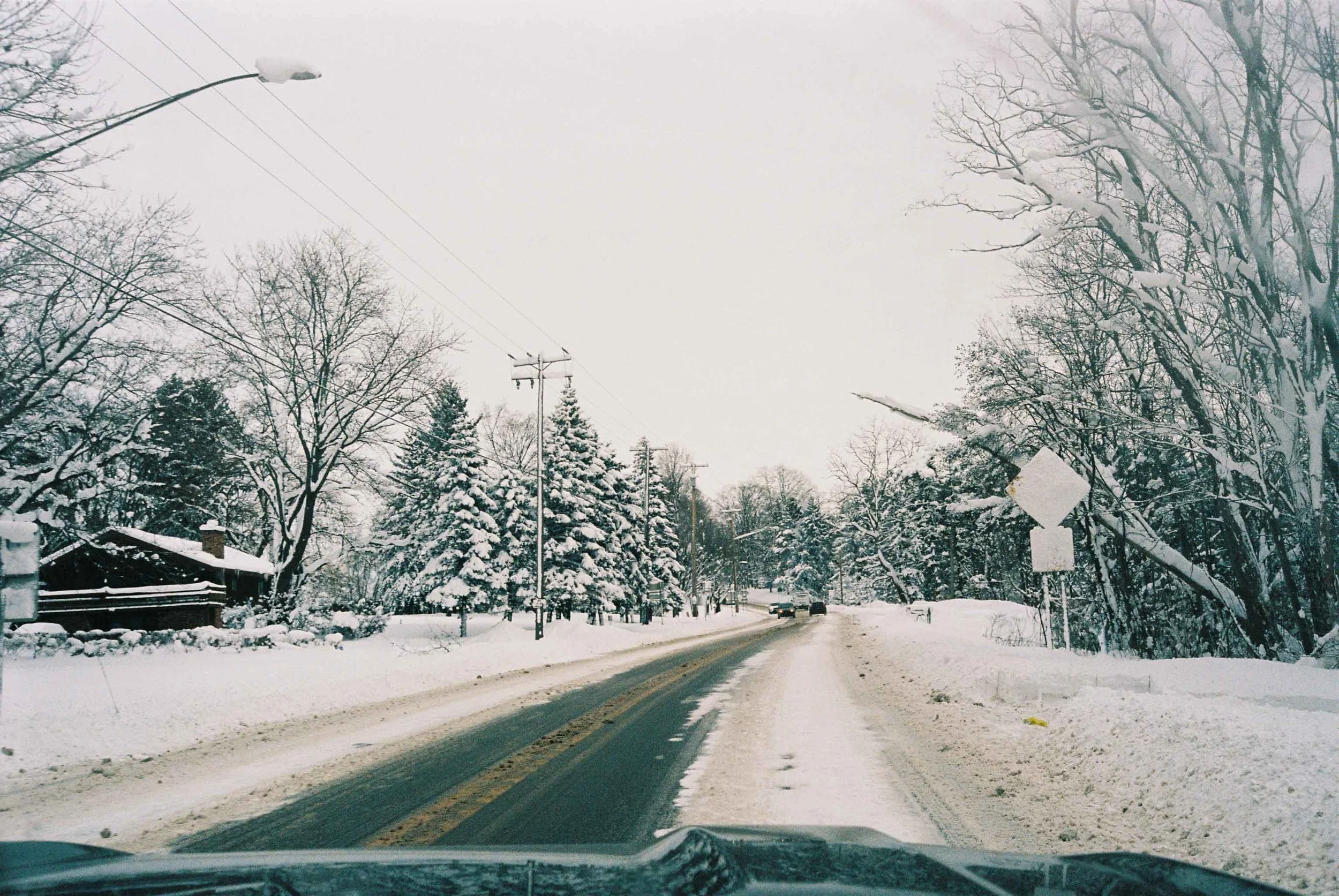 Devic Fotos - Toronto Film Photographer-12.JPG