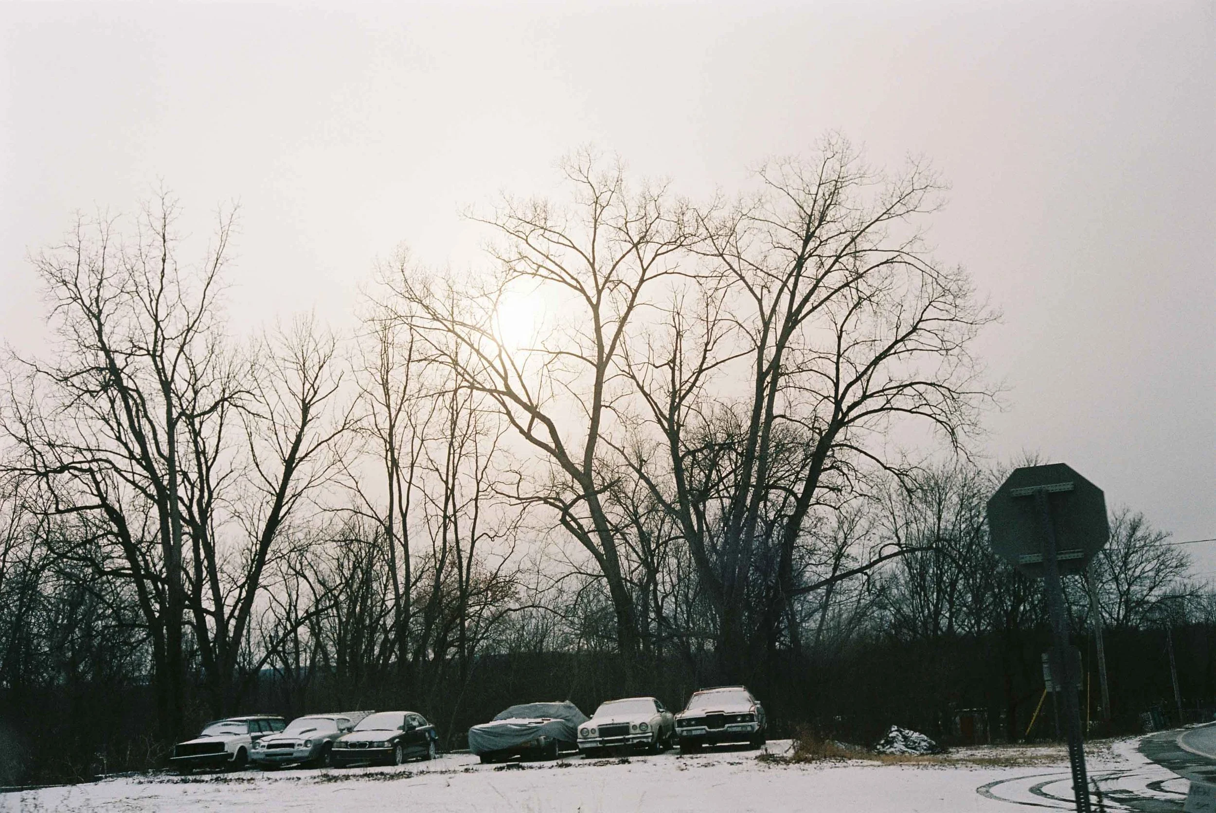 Devic Fotos - Toronto Film Photographer.JPG