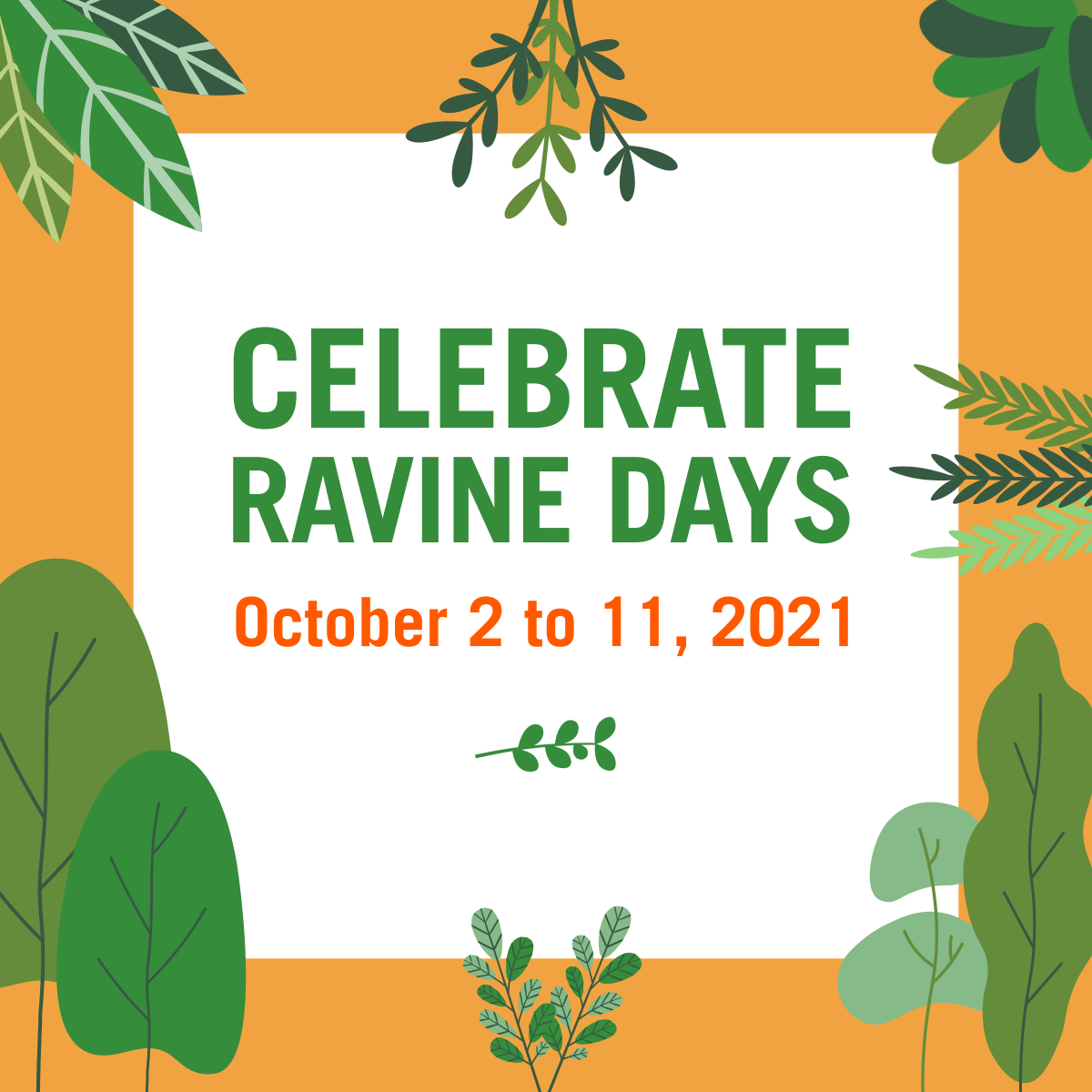 Ravine Days