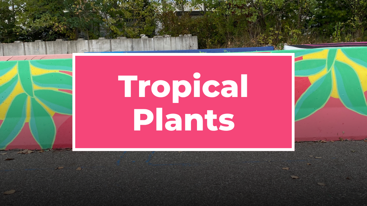 Why Tropical Plants Show Up So Much in My Murals