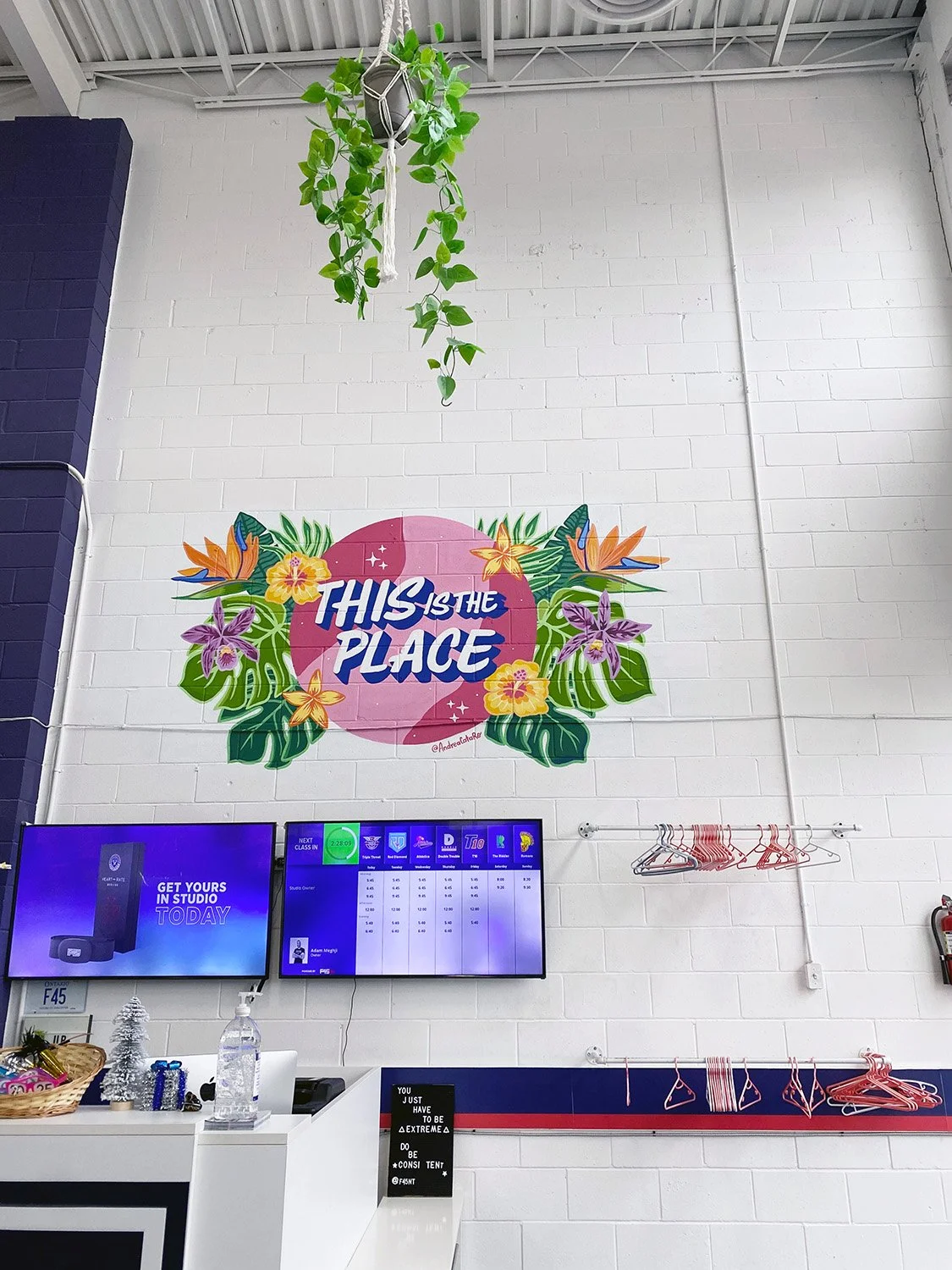 Lettering mural in Toronto, tropical mural vibes in its space showing positioning