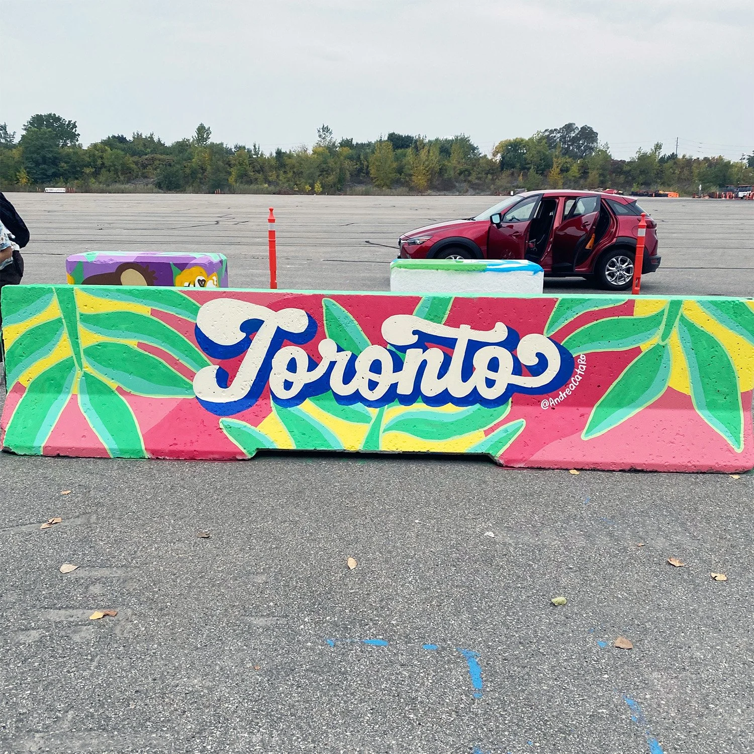 AndreaCataRo_Letterig mural Toronto_ Tropical2.jpg