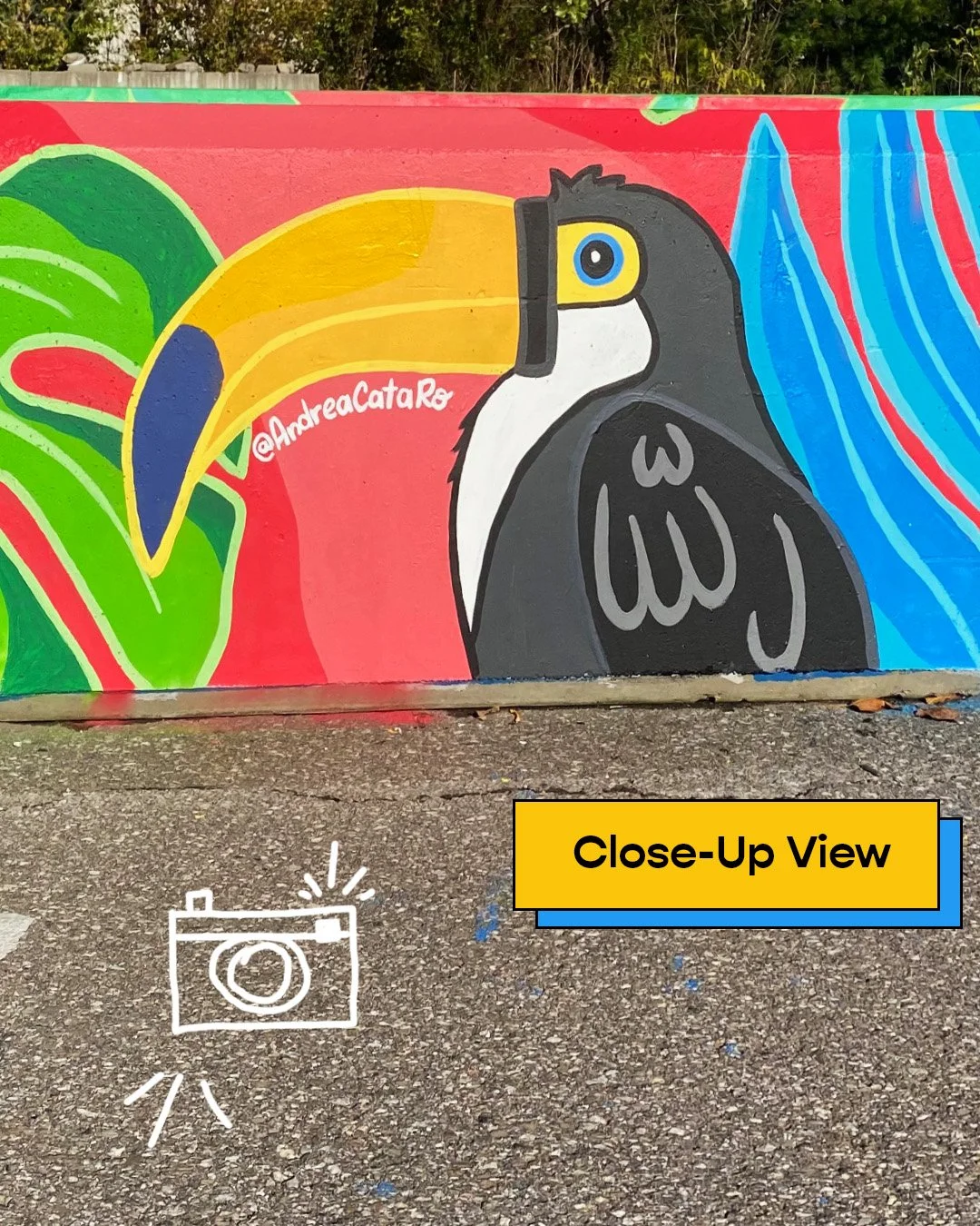 AndreaCataRo_Tucan Mural_Process1.jpg