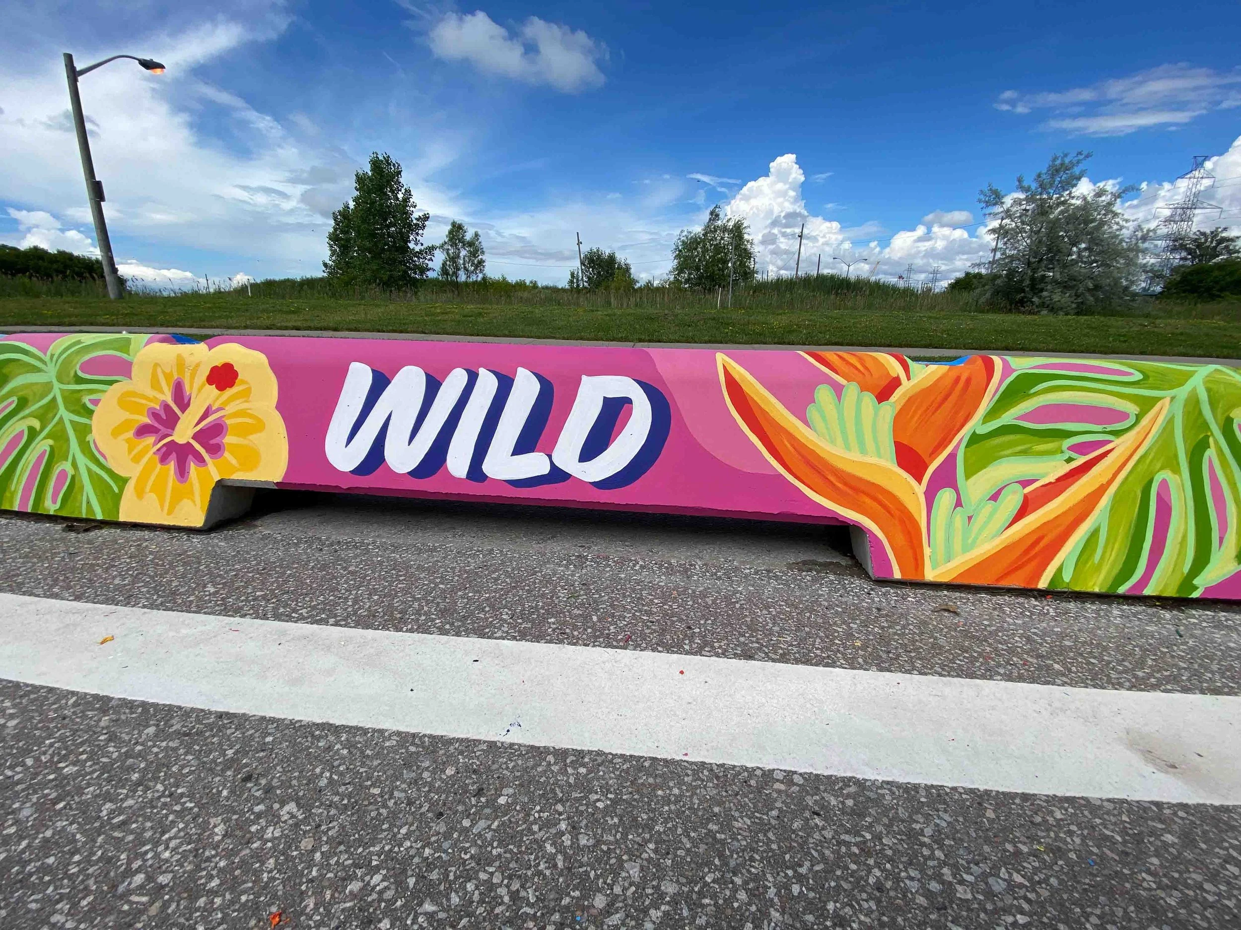 Wild and Free by Andrea Rodriguez