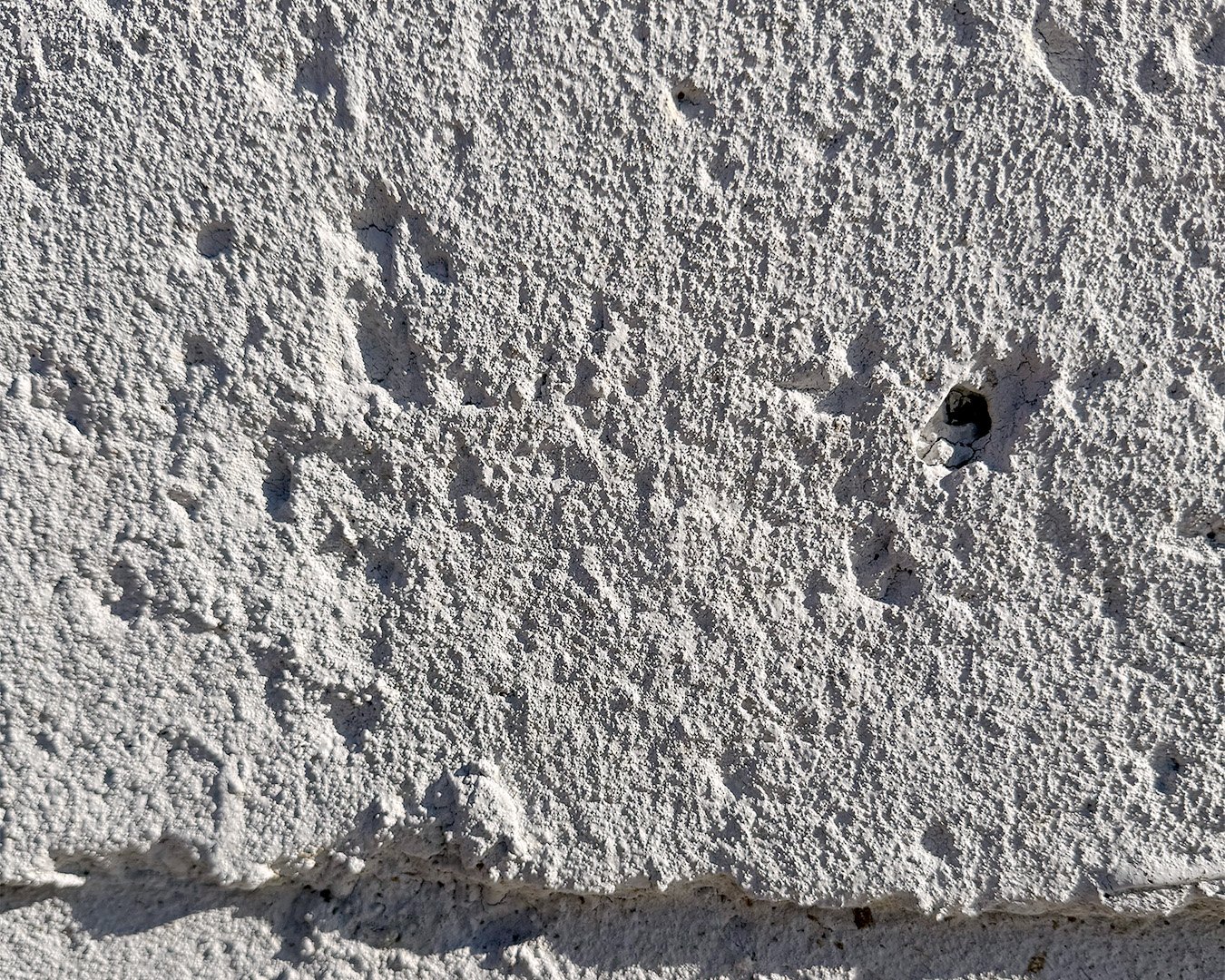 Textured outdoor wall surface showing how brick, concrete, or rough walls can affect a mural design.