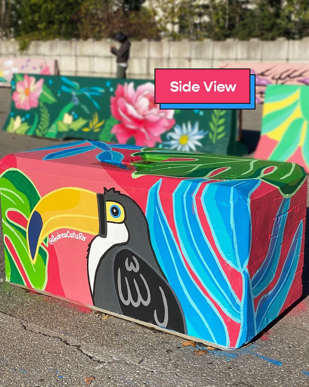 AndreaCataRo_Tucan Mural_Process4.jpg