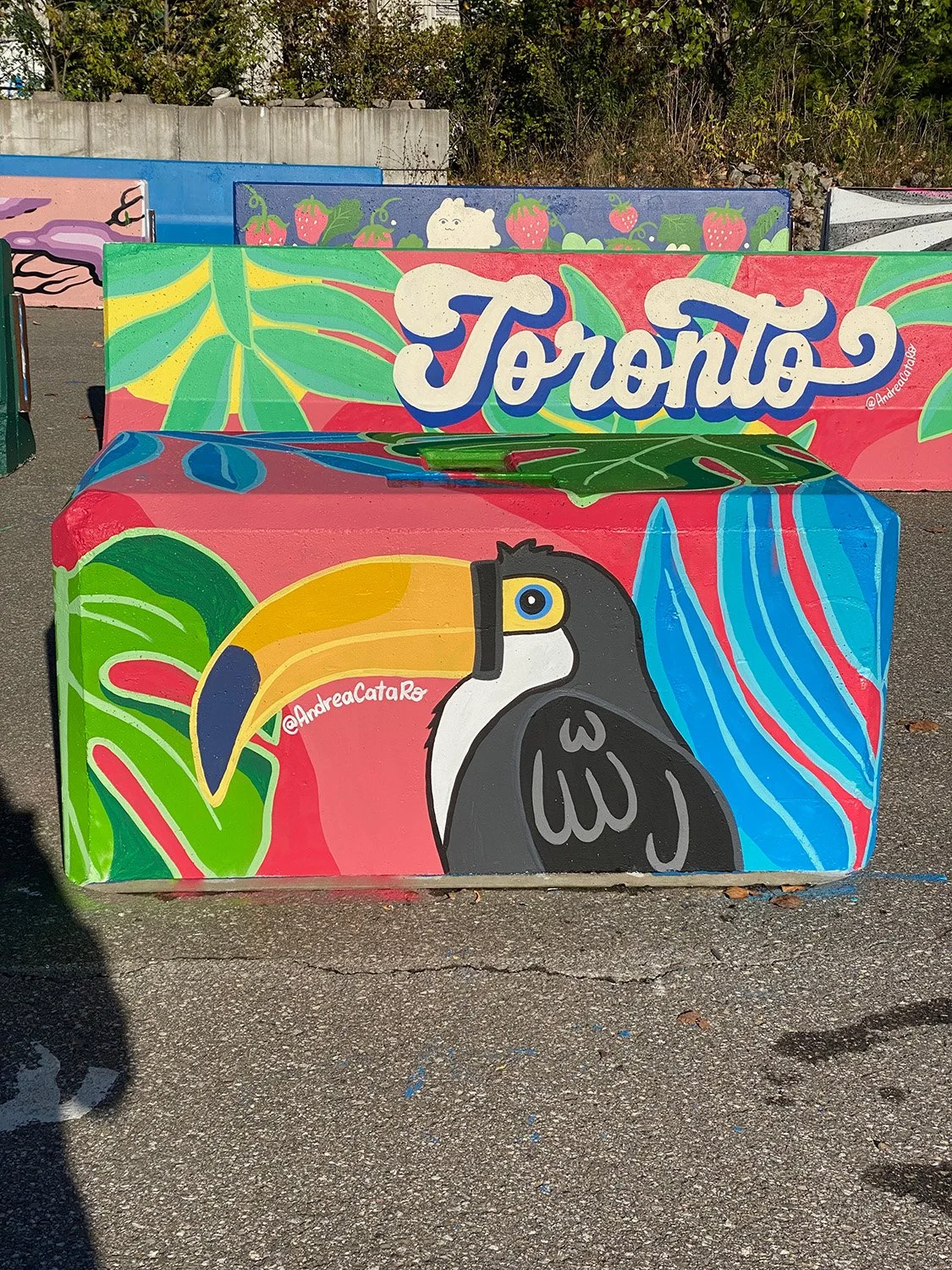 AndreaCataRo_Letterig mural Toronto_ Tropical4.jpg