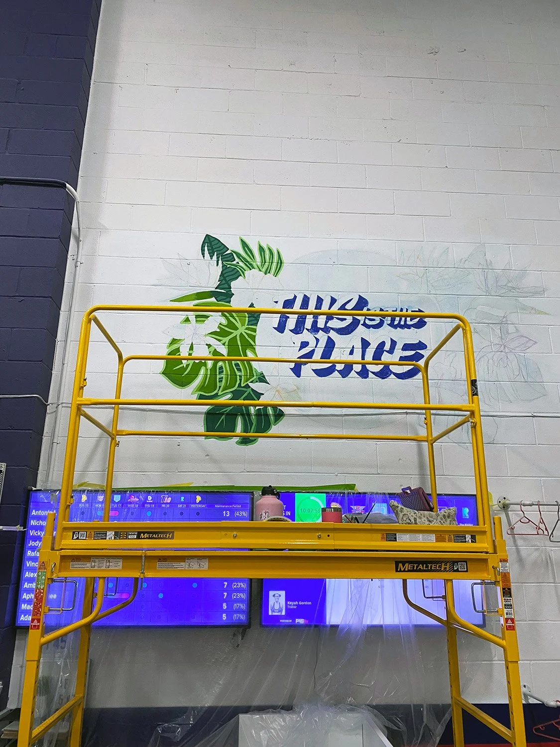 Process of Lettering mural in Toronto, tropical mural vibes in its space
