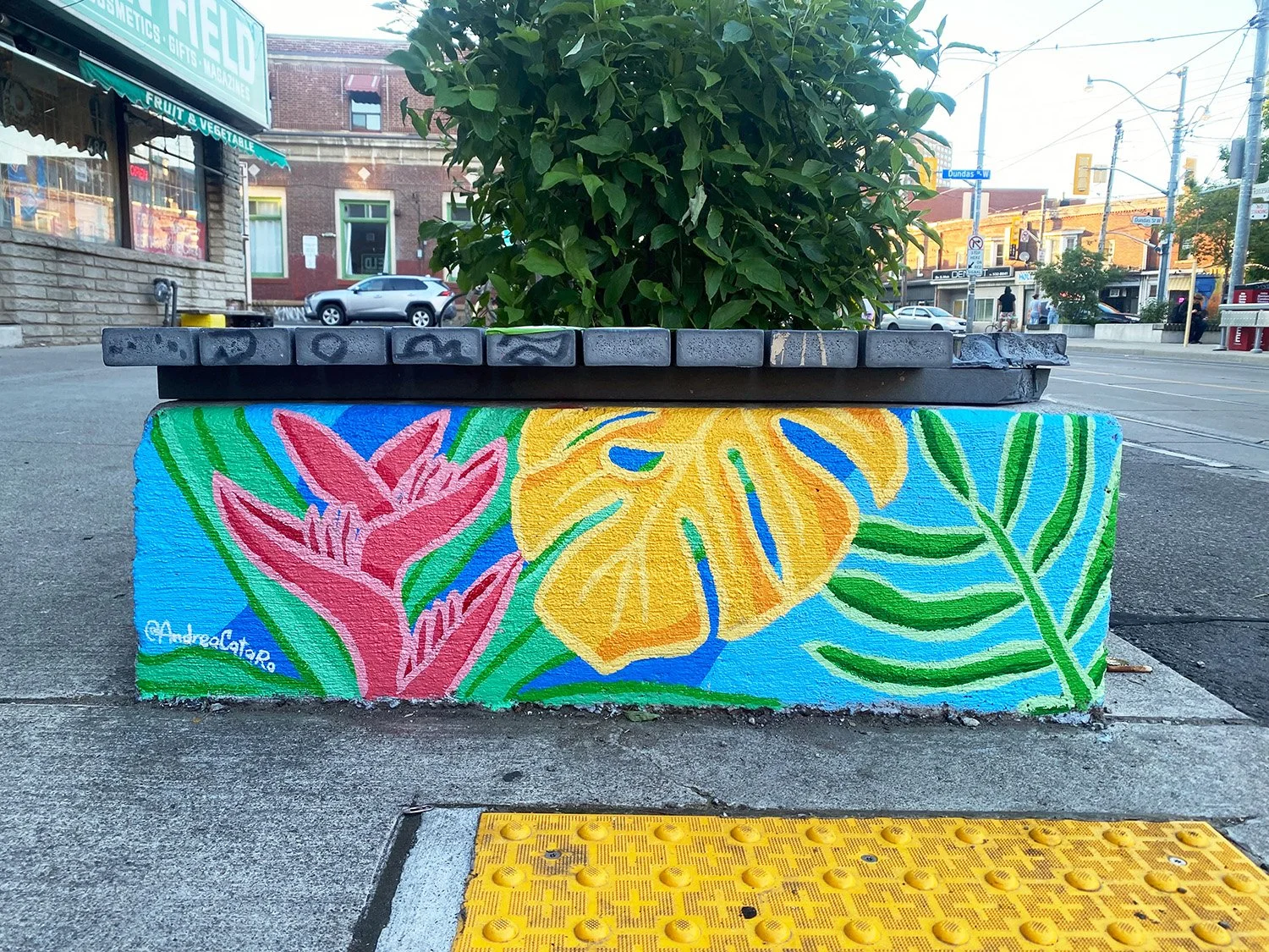 Toronto Roncesvalles floral mural 