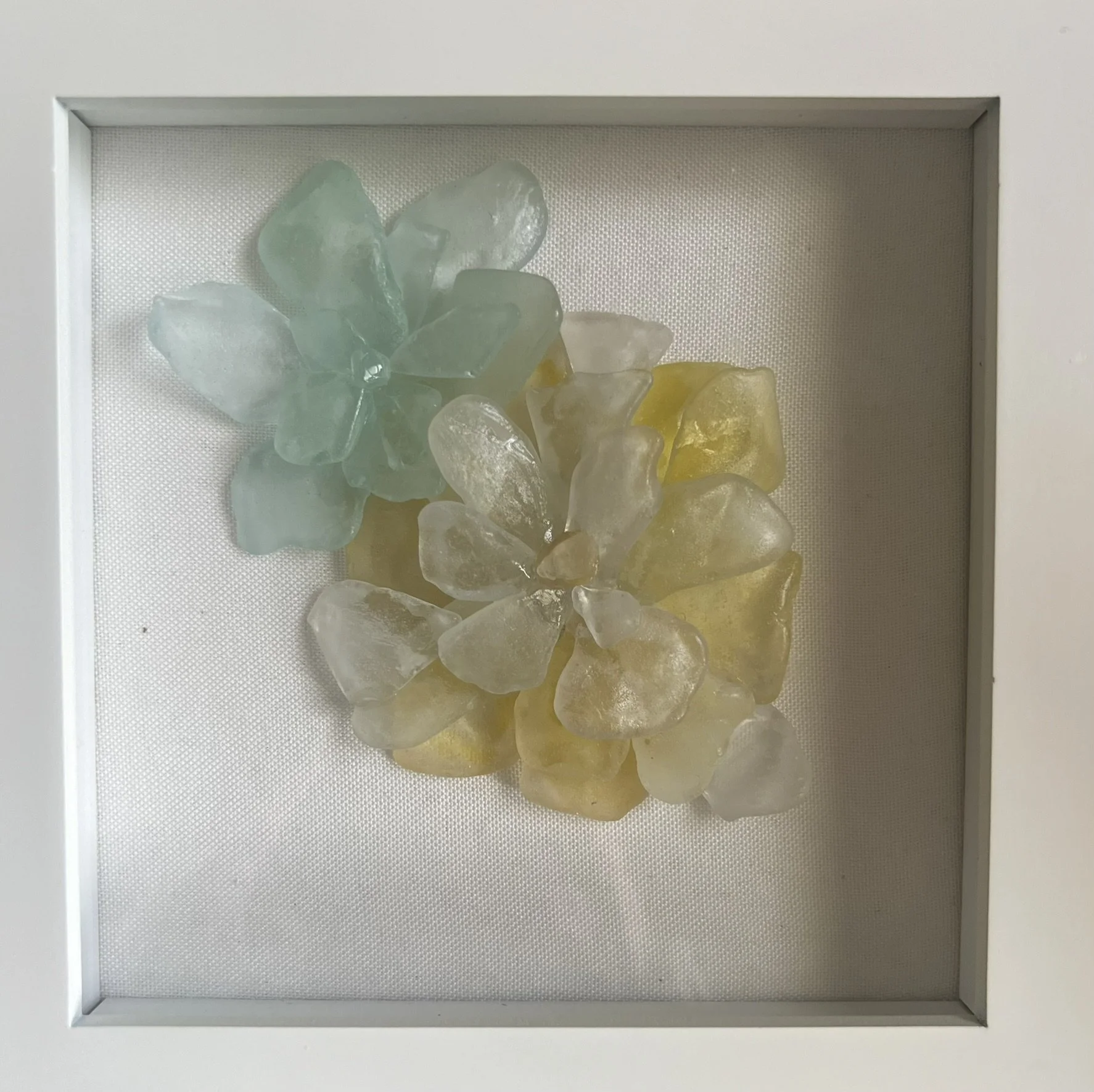 nbs yellow and blue.JPEG