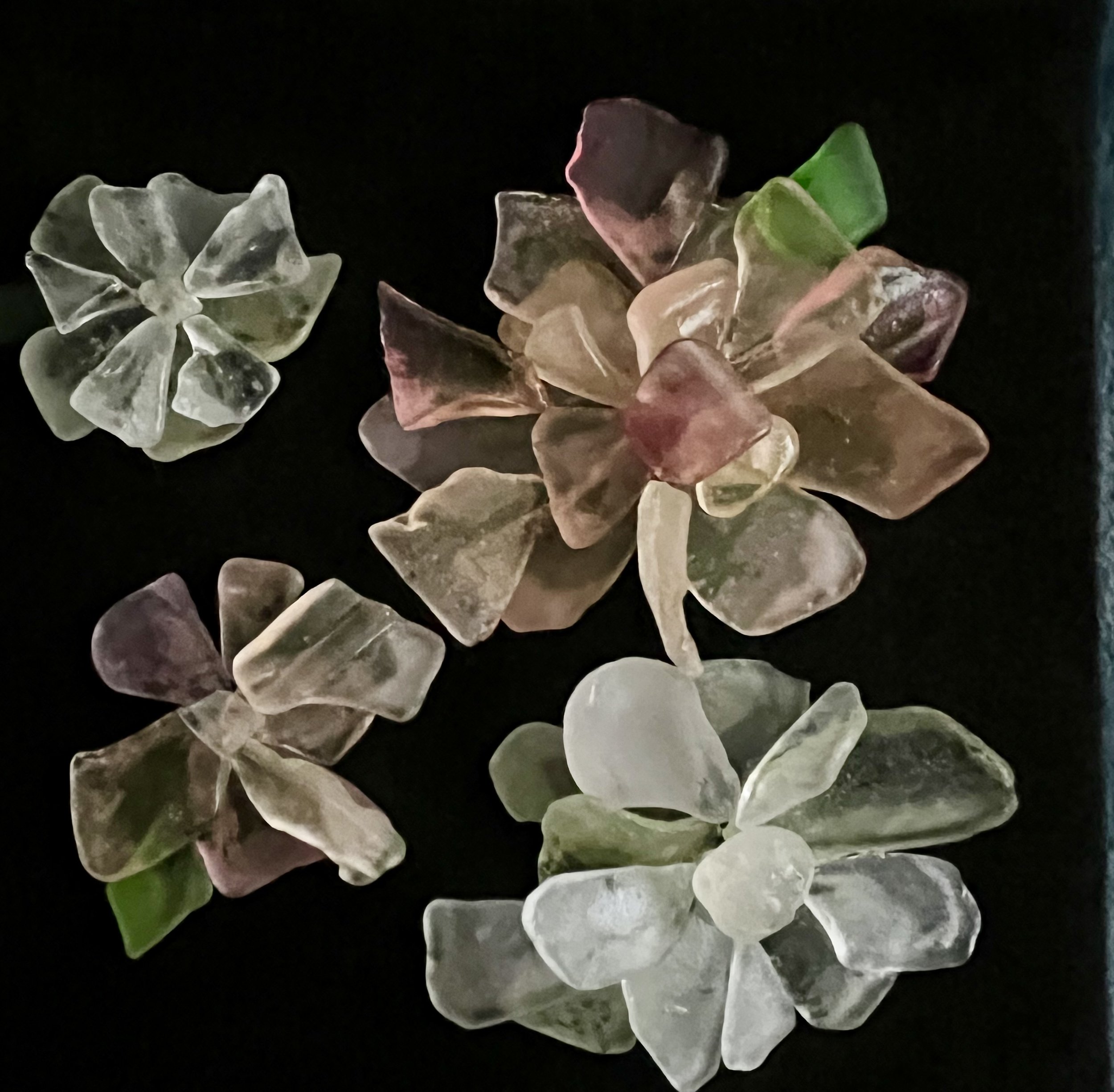 from the garden.jpg