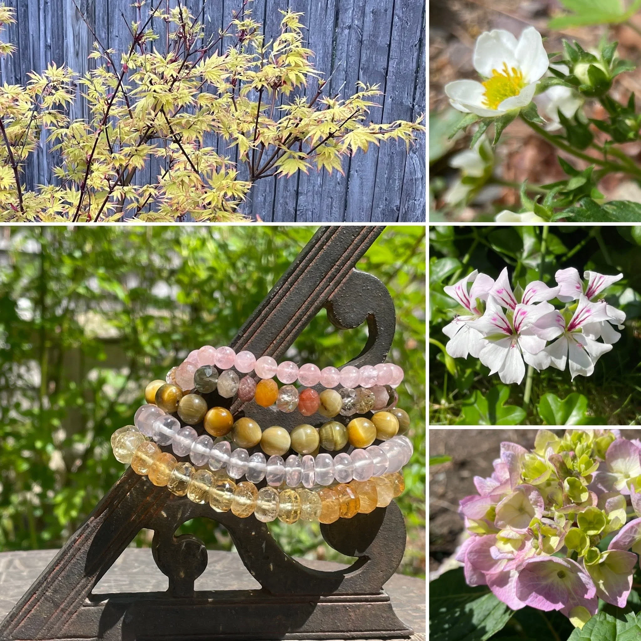 Collage_yellow and pink.jpg