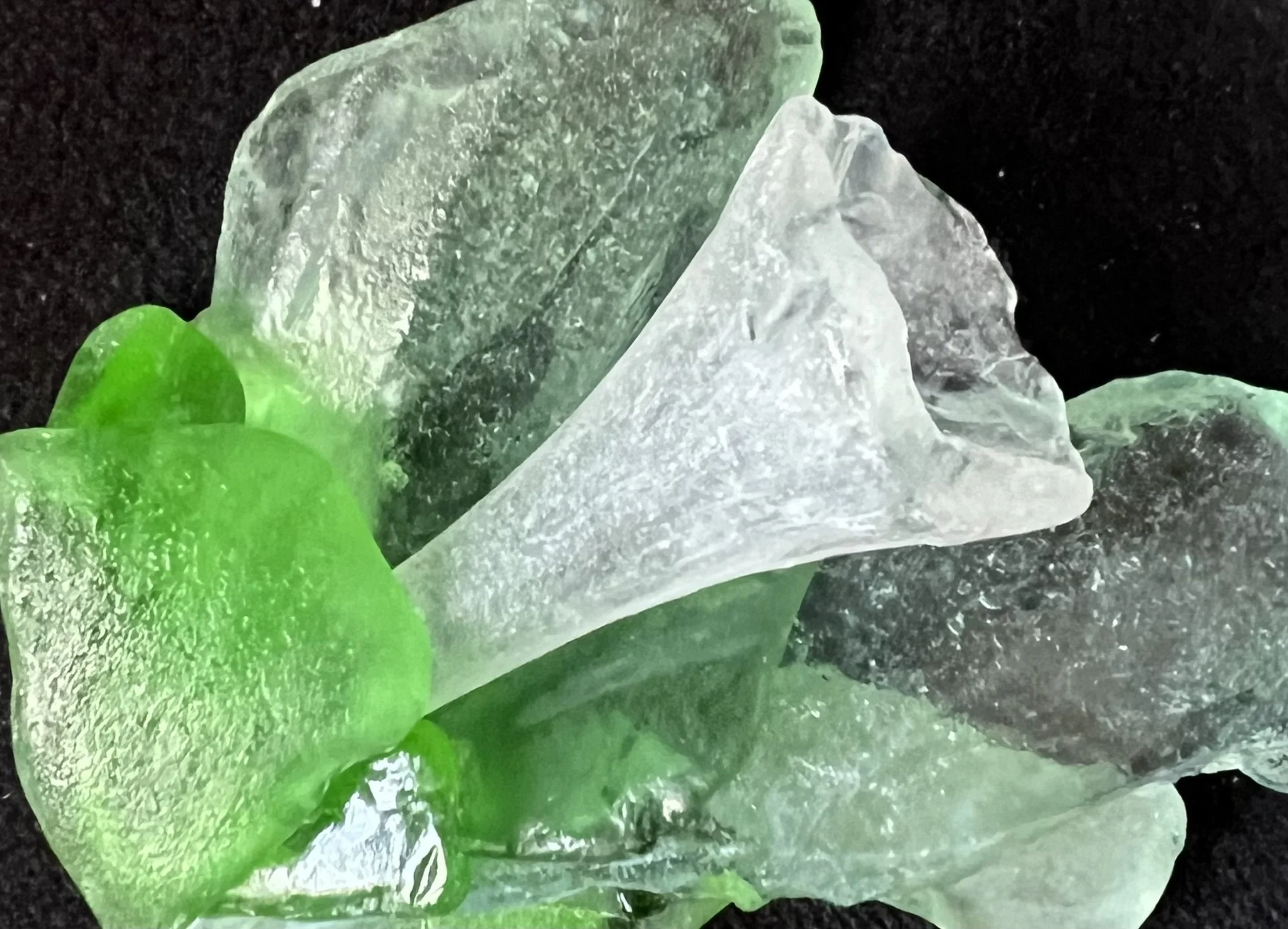 nbs trumpet flower.JPEG