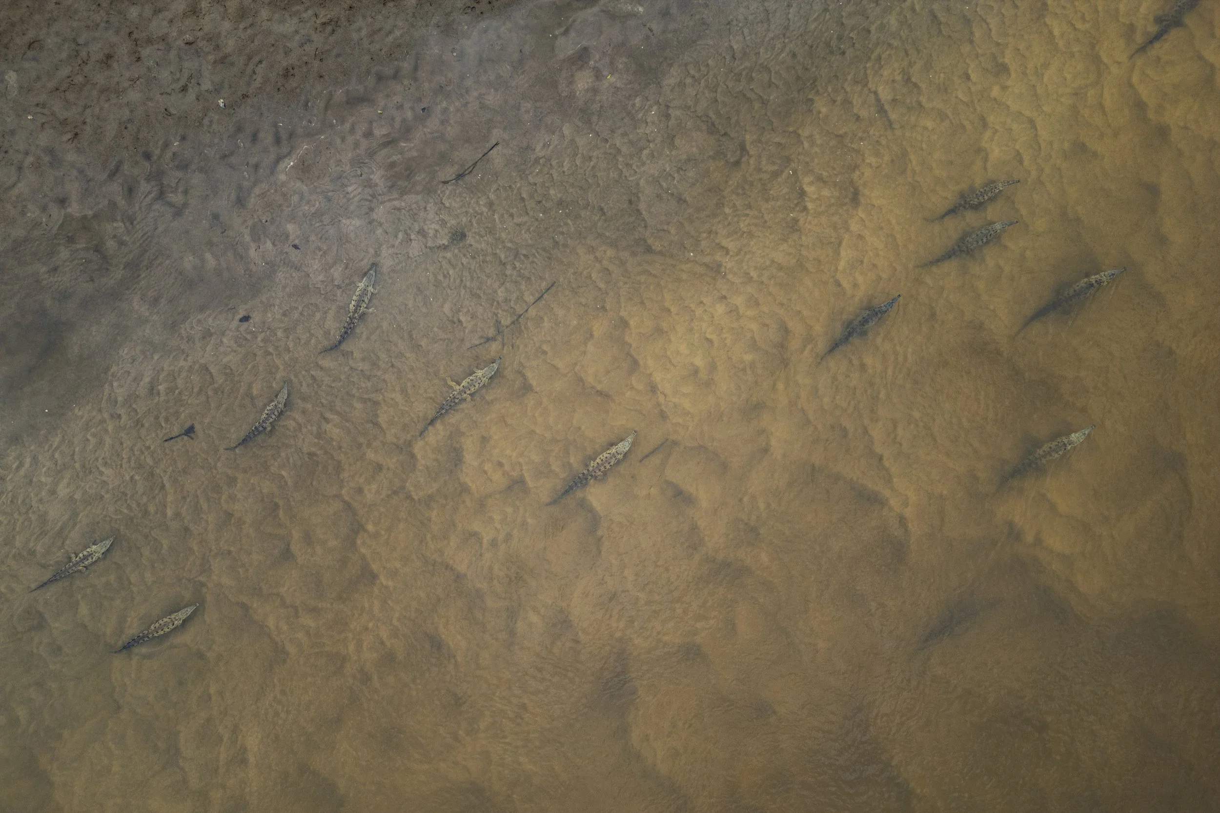 Orinoco Crocs-15.jpg