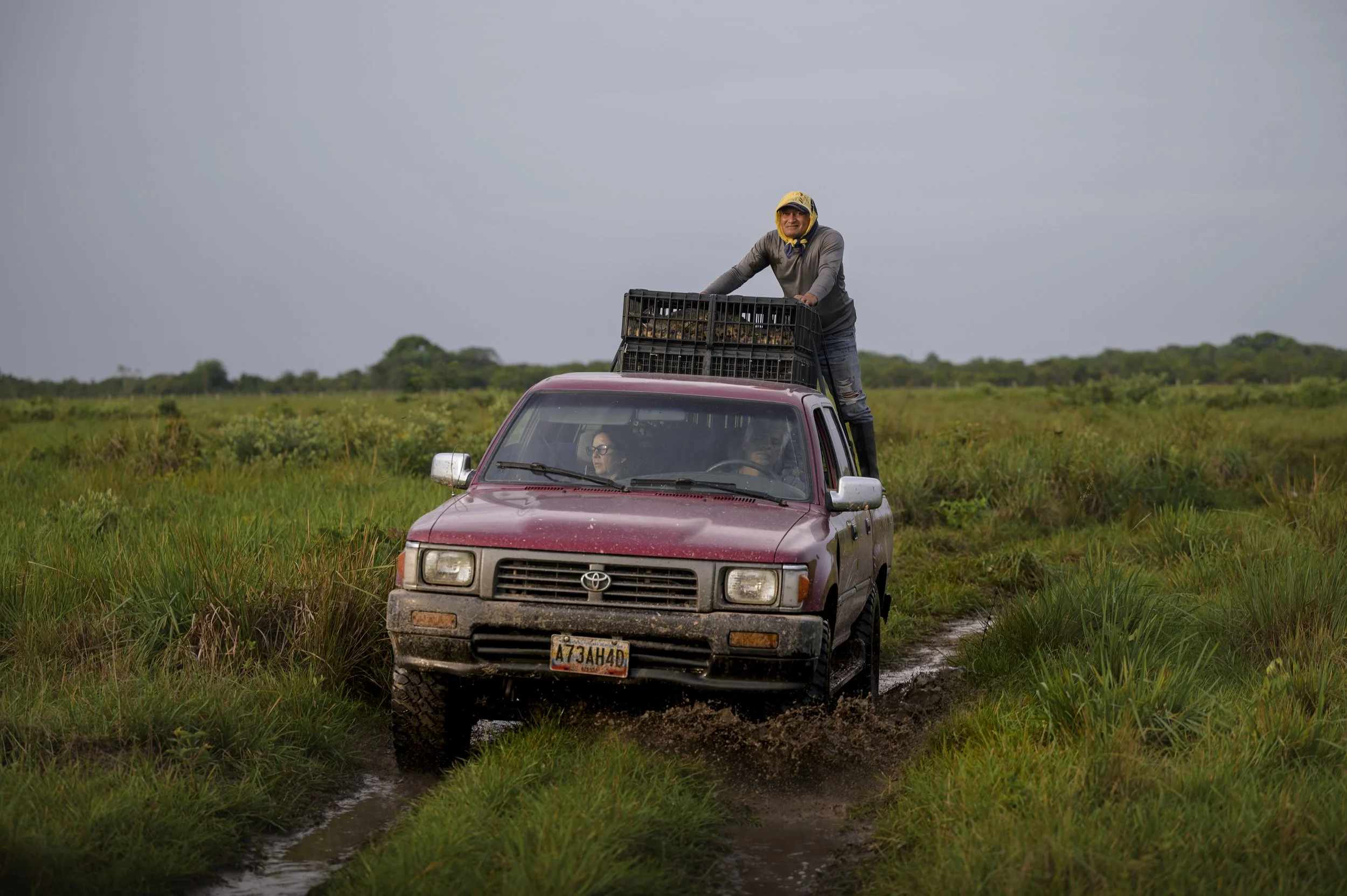 Orinoco Crocs-10.jpg