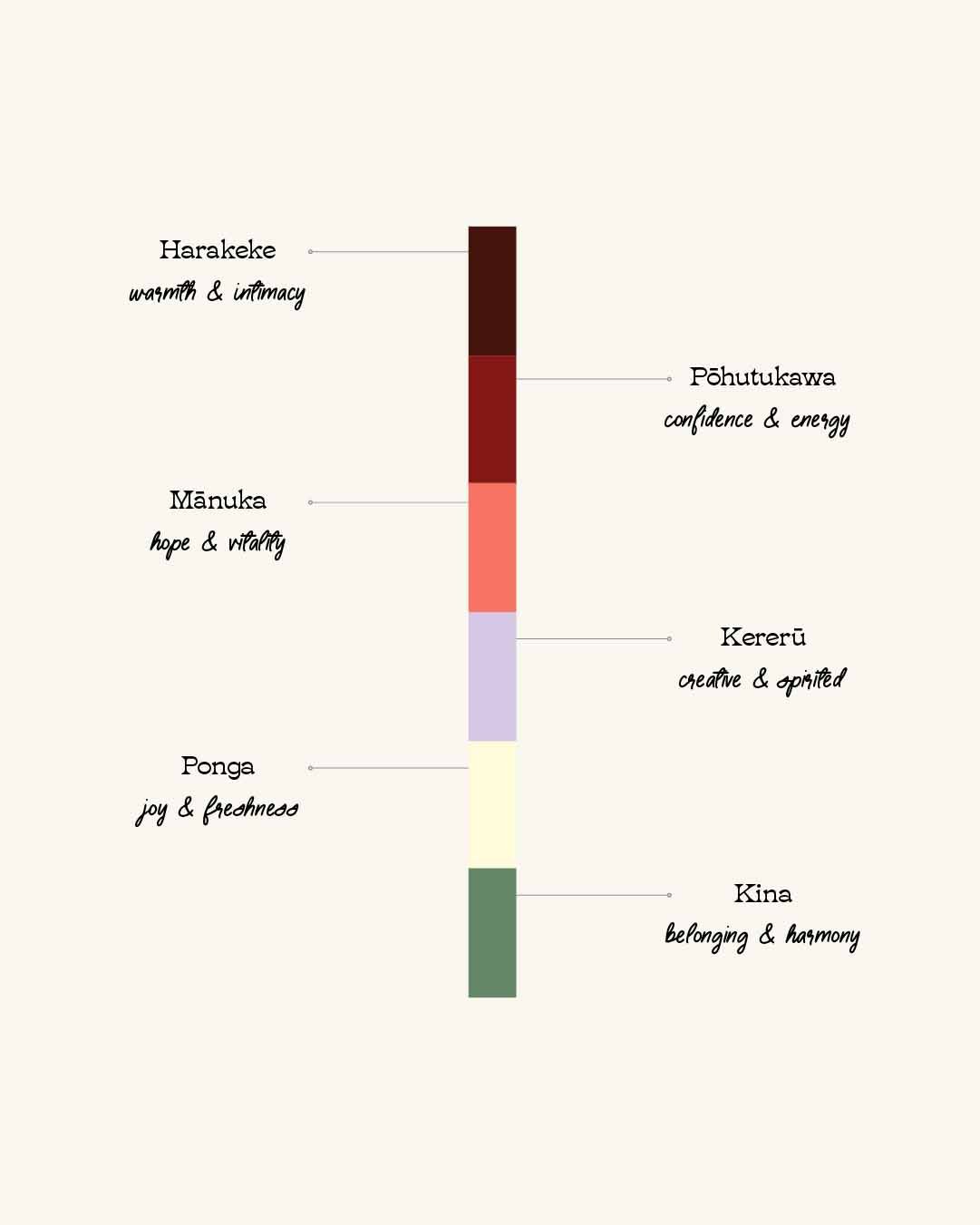 Colour palette backed by strategy, designed to rejuvenate and invigorate the target audience