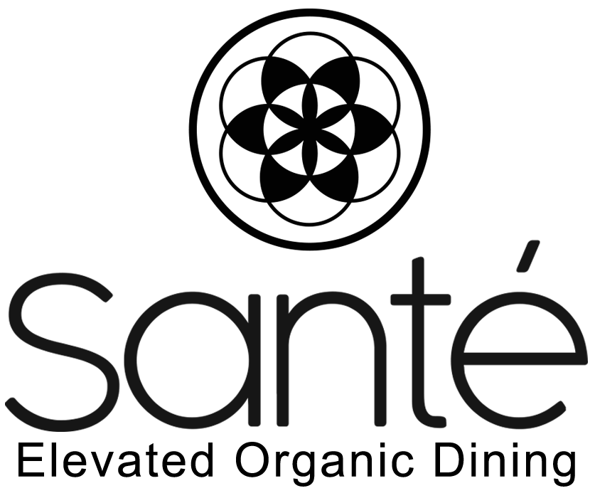 Sante elevated organic fine dining in north scottsdale quarter