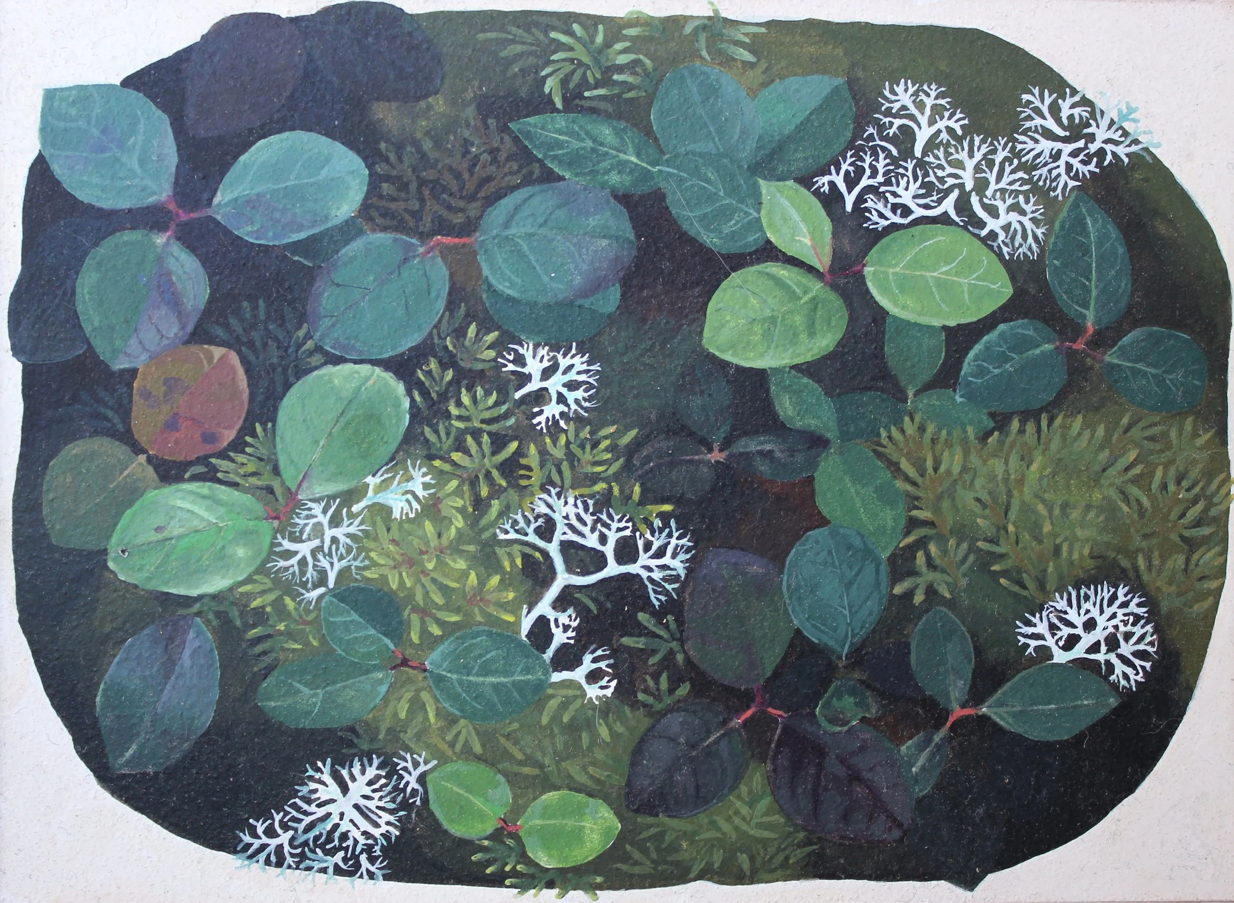 ForestFloor-Wintergreen 2.jpg
