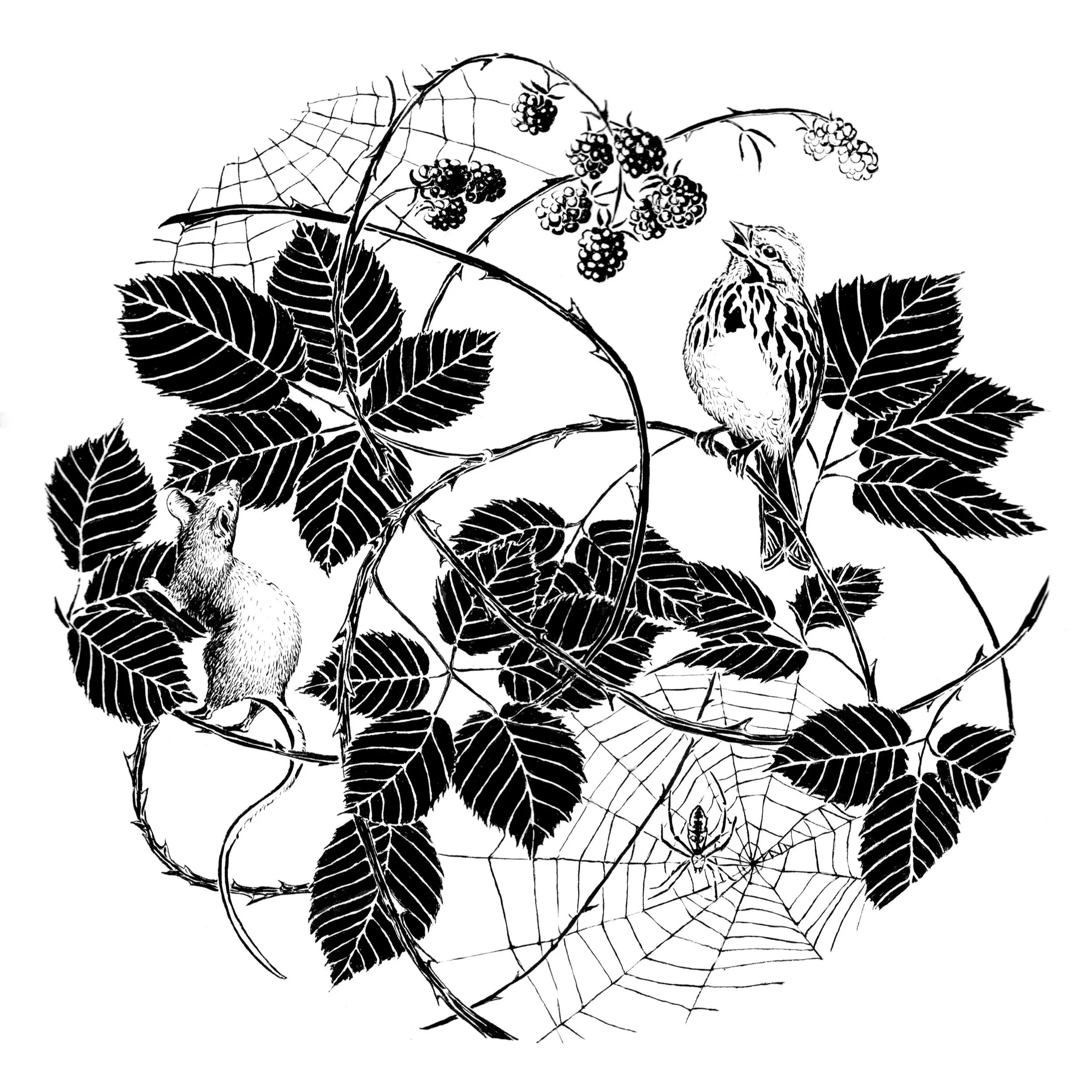 WebWoven.jpg