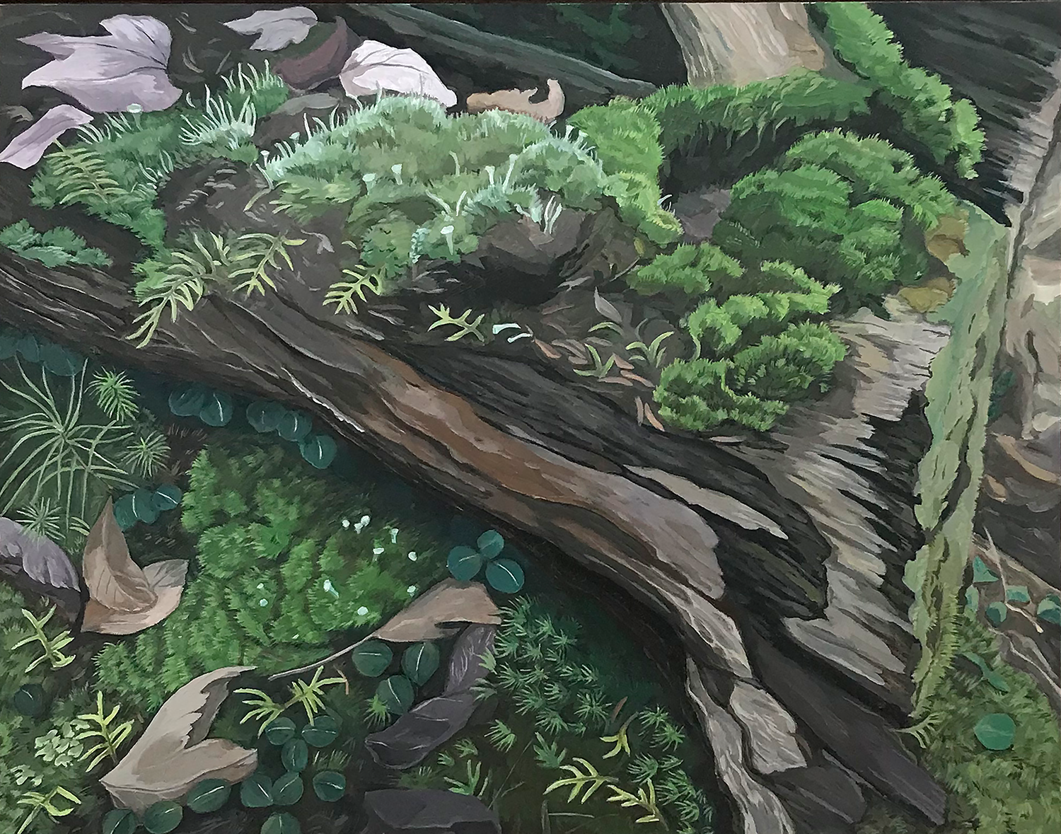 rotting log covered in moss