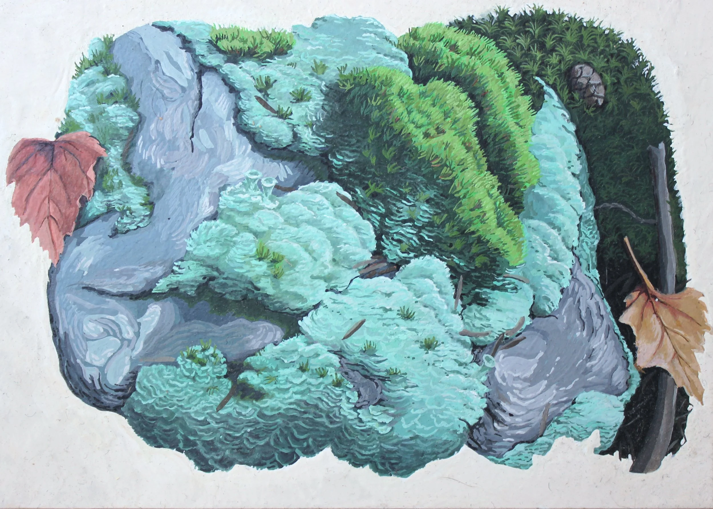 ForestFloor-RocksLeaves.jpg