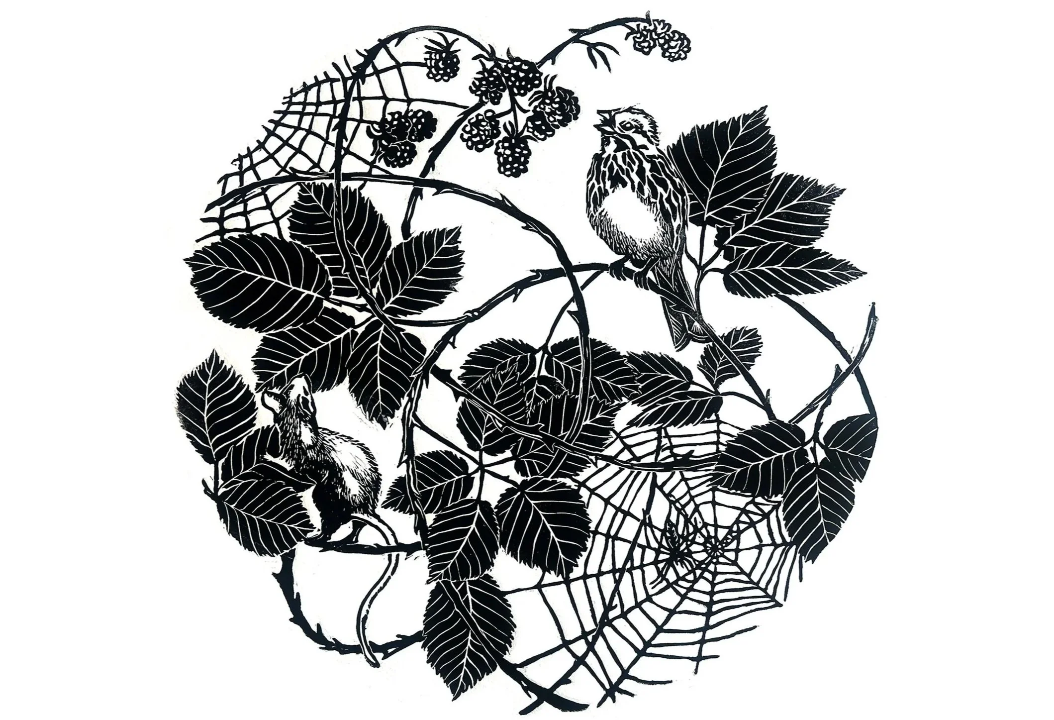 bramble mouse song sparrow