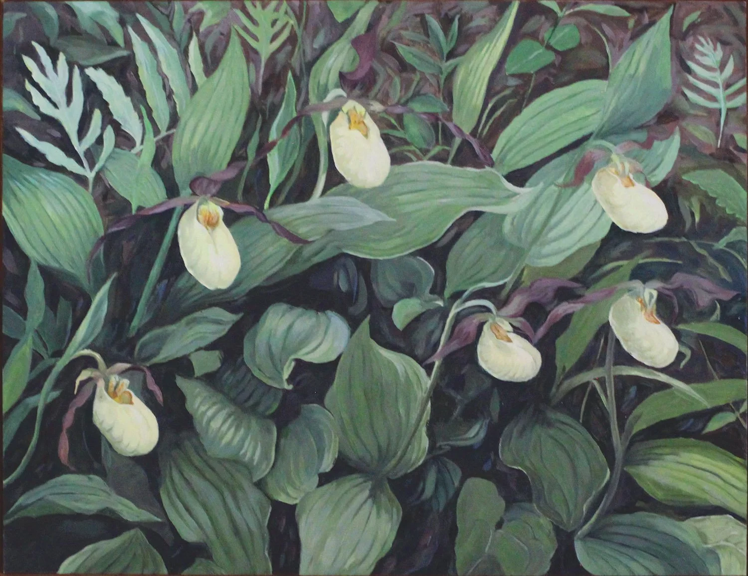 yellow ladyslippers