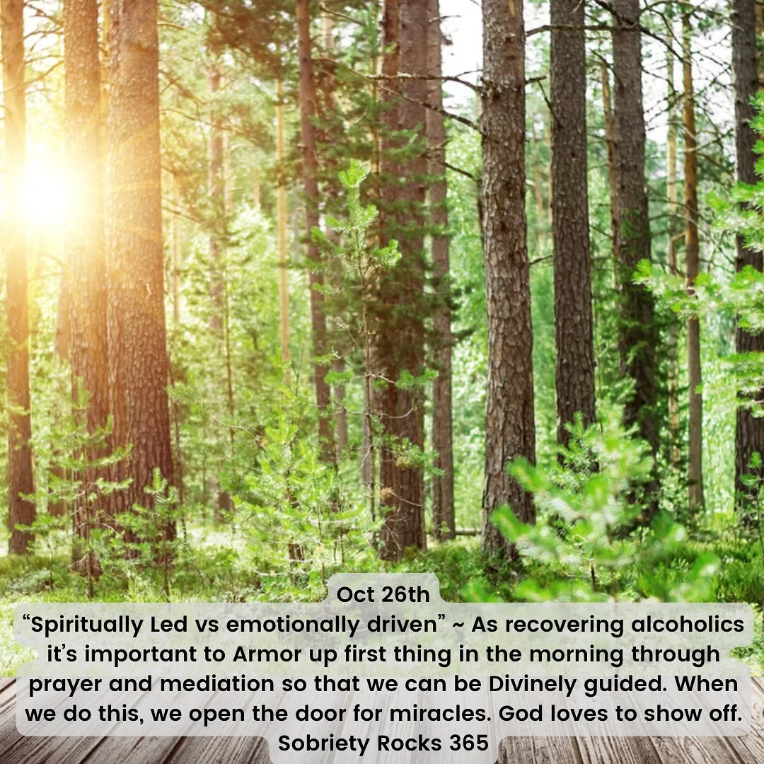 #sobrietyrocks365 #hope #surrender #acceptance #love #12steps #principles #awayoflife #unity #neveralone #sobriety_rocks
#honesty #freedom #acceptance #perceptionshift #yolo #neveraloneagain #unity #sobermoms 
#uponawakening 
#powerinthepause #sobera