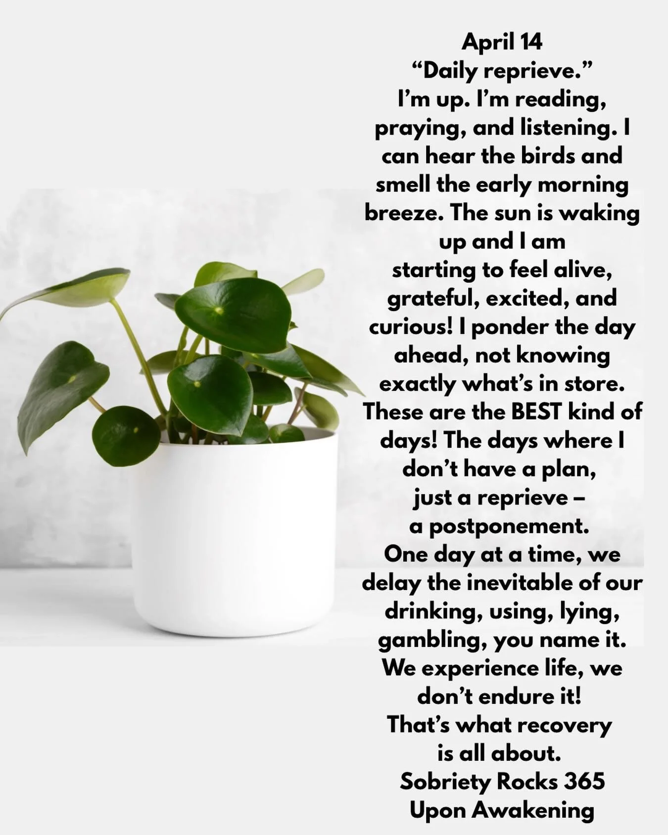 #uponawakening #love
#moms #surrender 
#powerinthepause