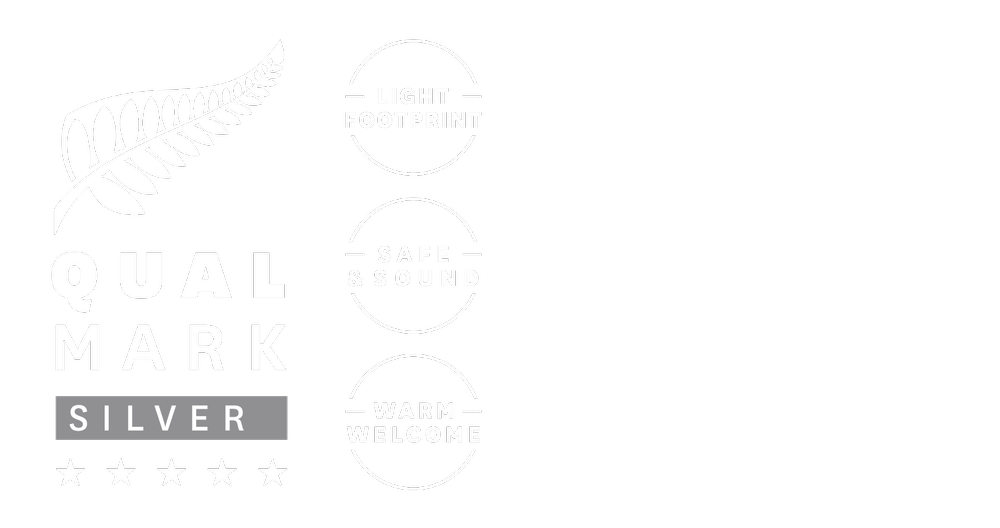 Otago Peninsula In-Depth Tour and Blue Penguins Pukekura Experience