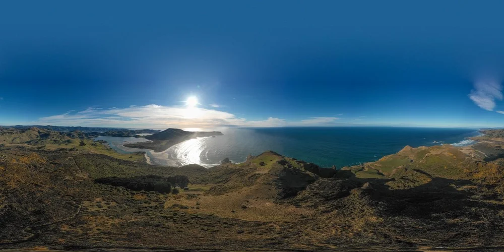 Otago Peninsula In-Depth Tour and Blue Penguins Pukekura Experience