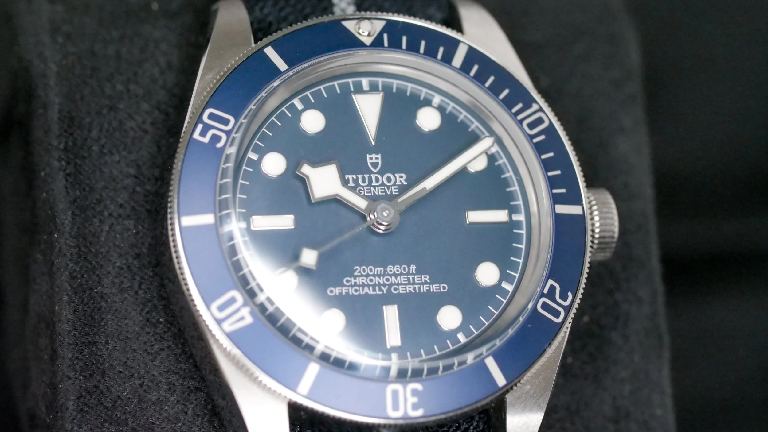 Tudor Black Bay 59 M79030B-0003