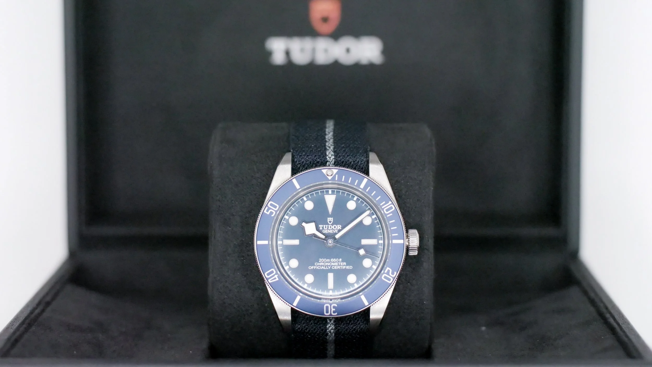 Tudor Black Bay 59 M79030B-0003