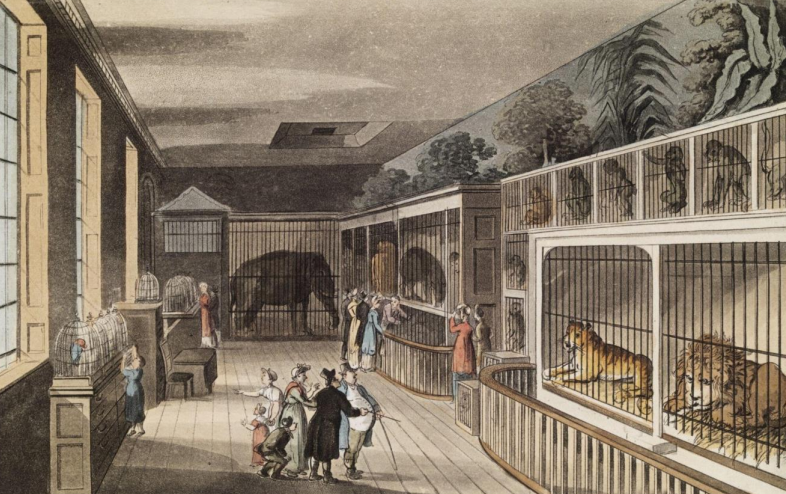 Woman Seeking “New and Curious Sights”: Feminism &amp; Victorian Zoological Gardens with Shelby Stymeist